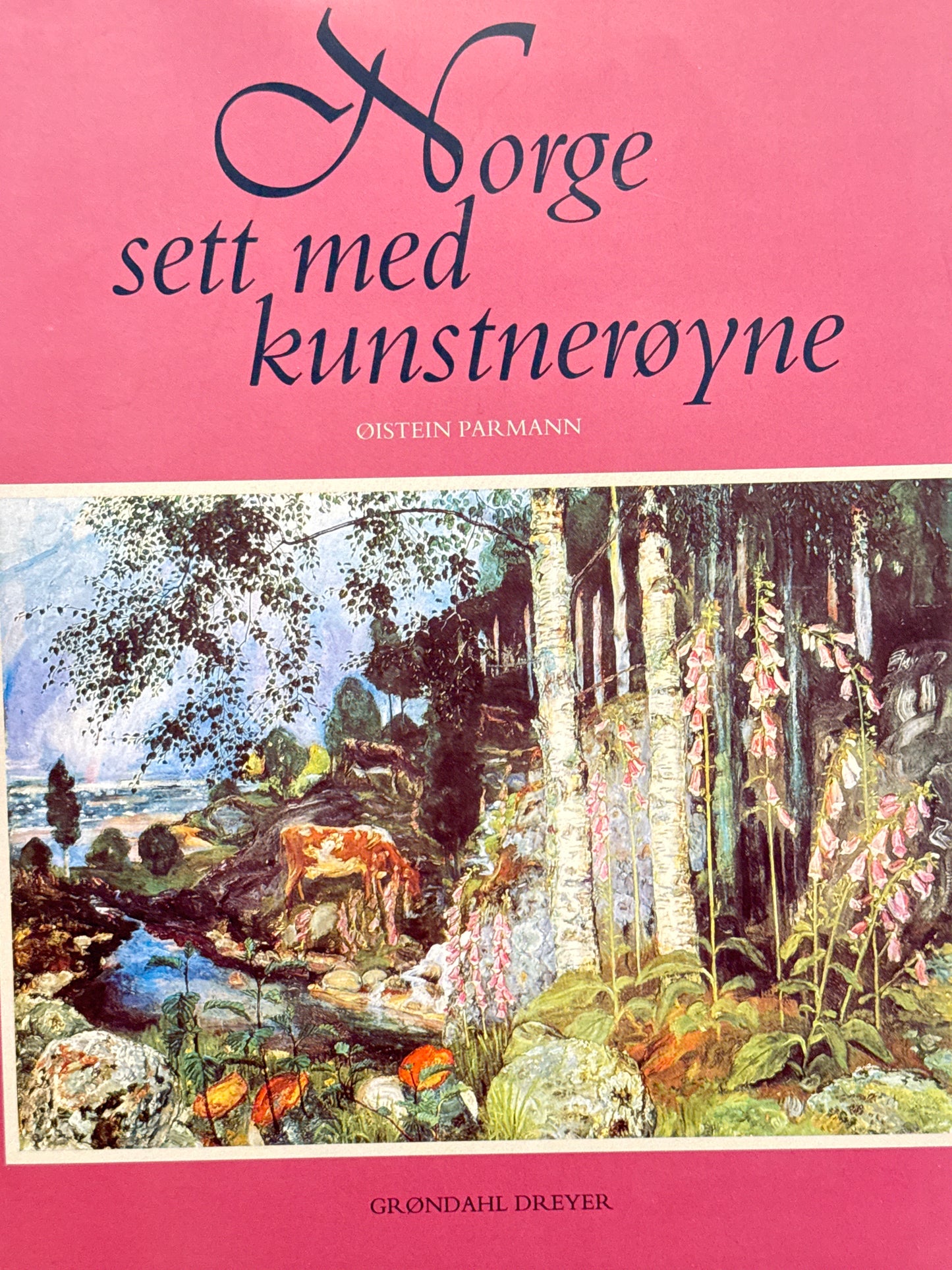 Norge sett med kunstnerøyne - Innbundet