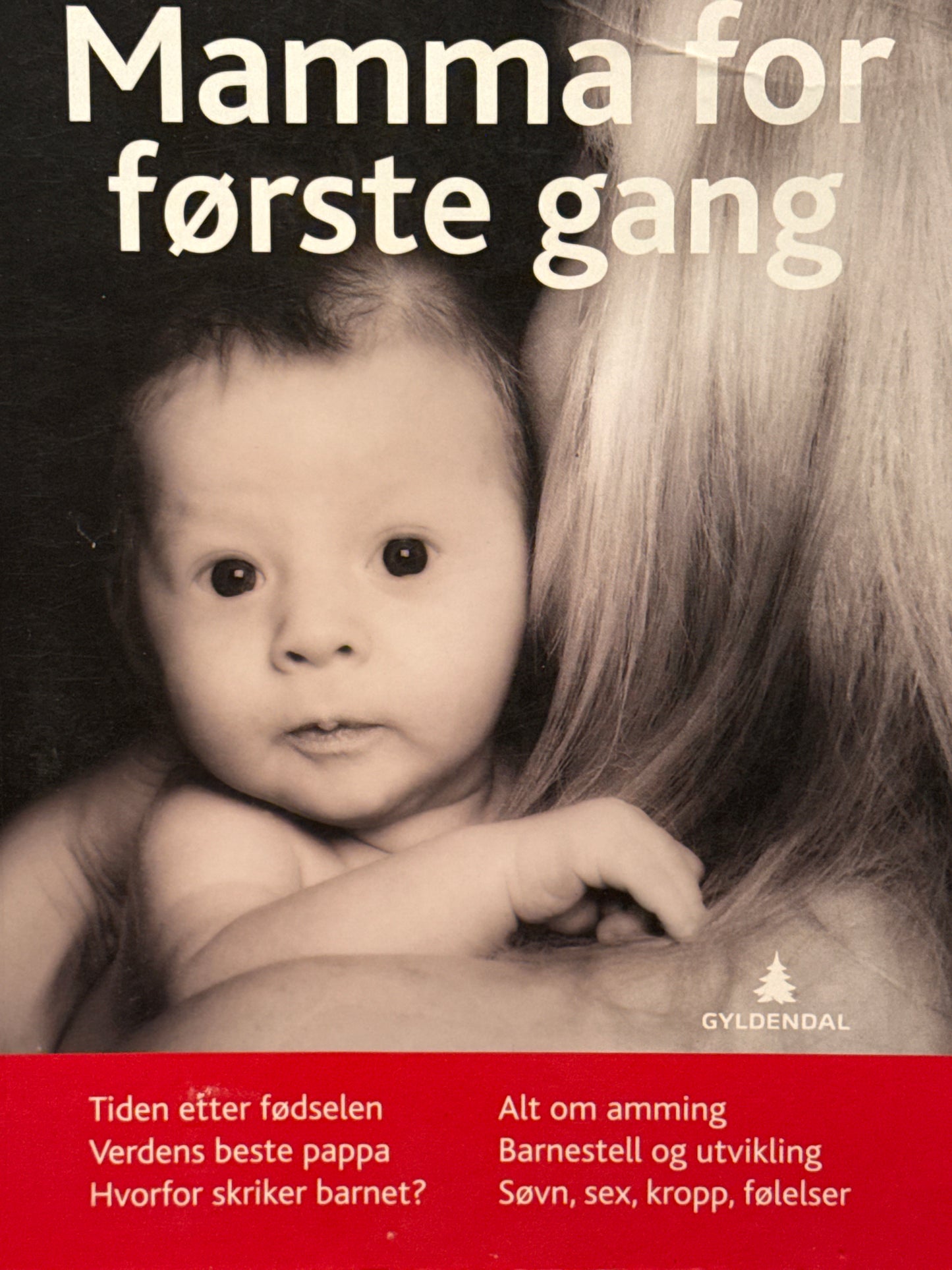 Mamma for første gang - Pocket