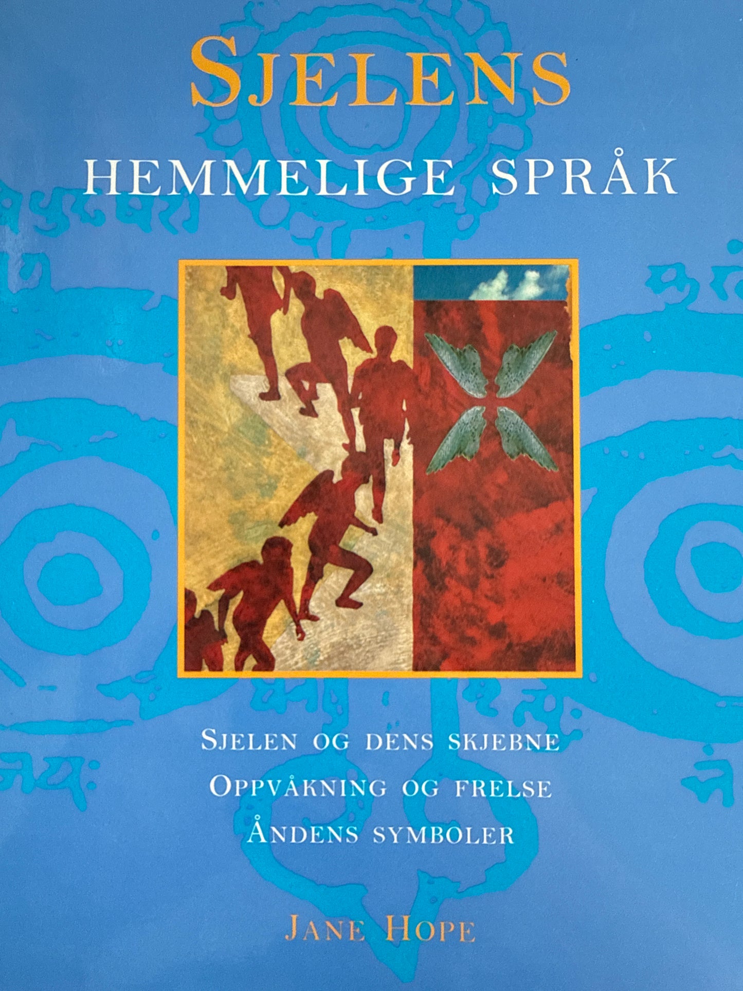 Sjelens hemmelige språk - Innbundet