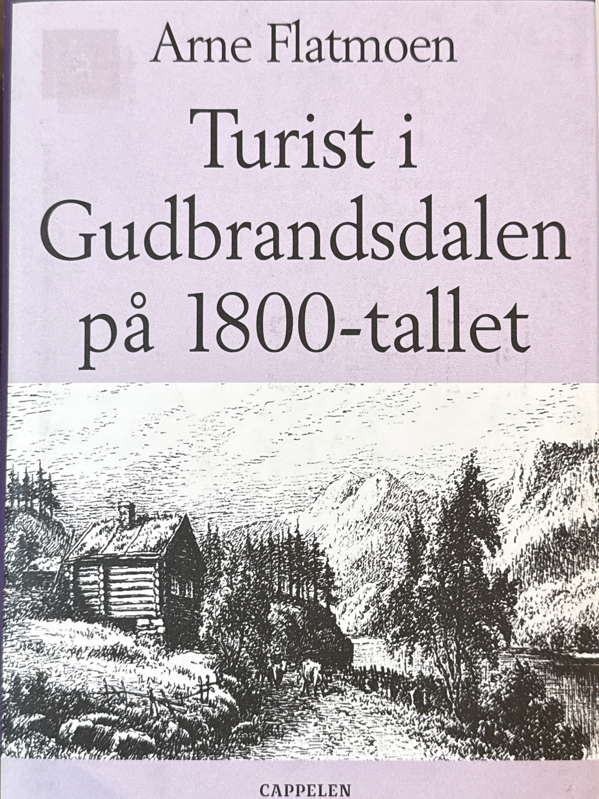 Turist i Gudbrandsdalen på 1800-tallet - Innbundet