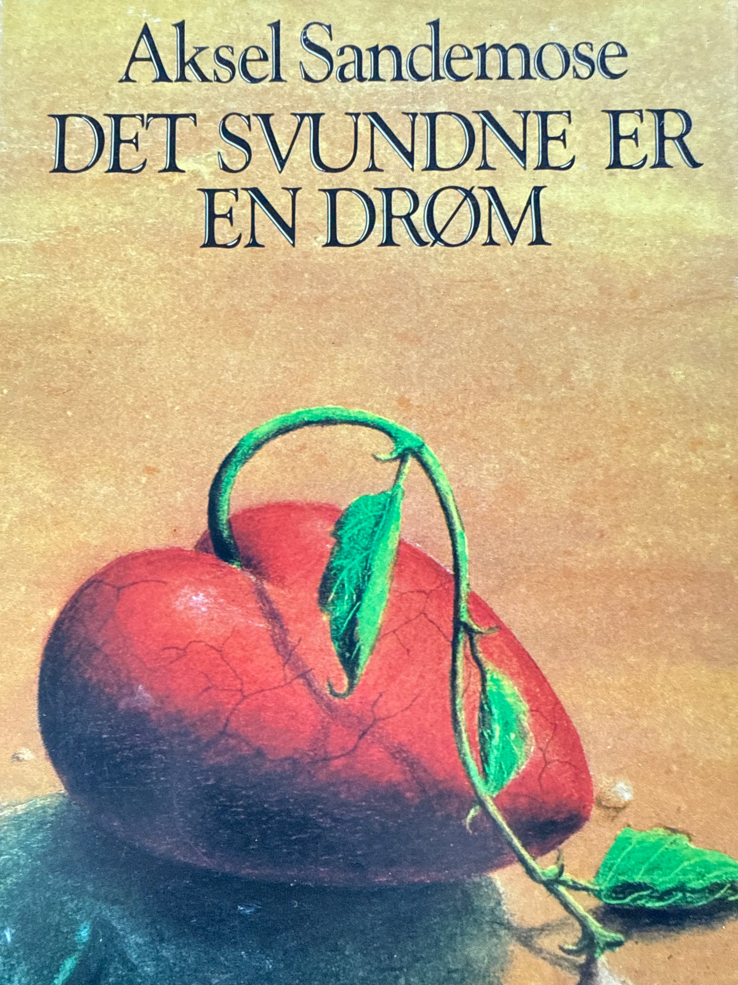 Det svundne er en drøm - Innbundet