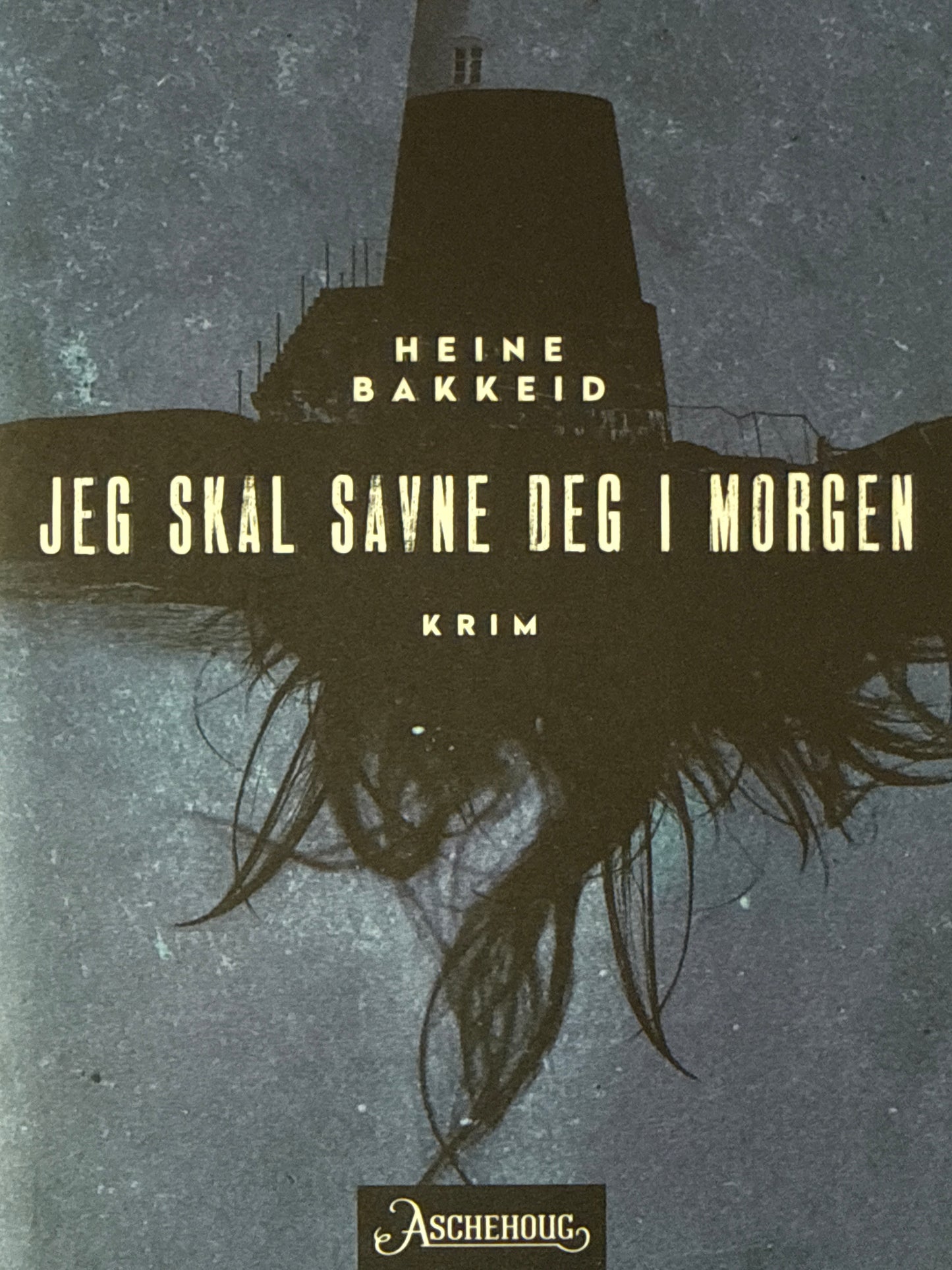 Jeg skal savne deg i morgen - Innbundet