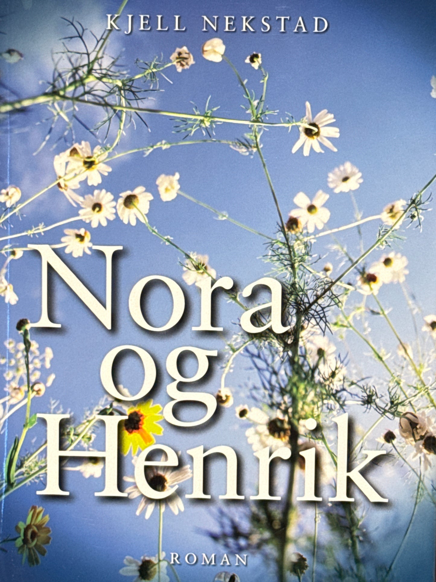 Nora og Henrik - Innbundet