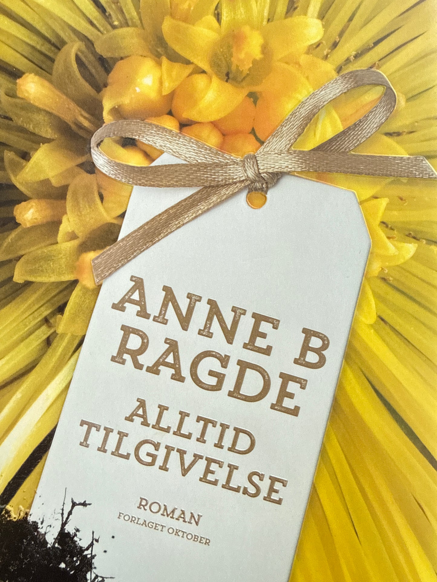 Alltid tilgivelse - Innbundet