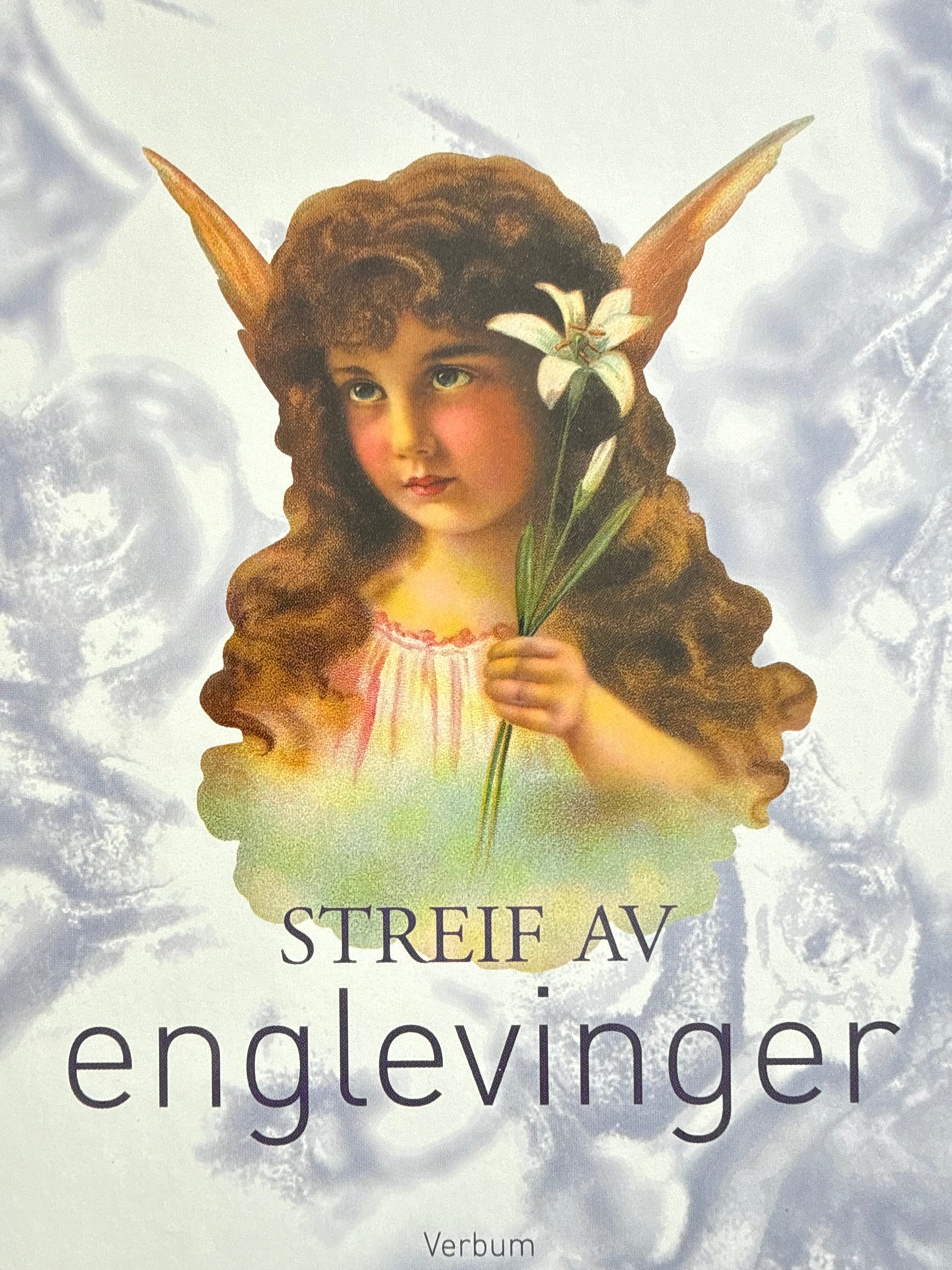 Streif av englevinger - Innbundet