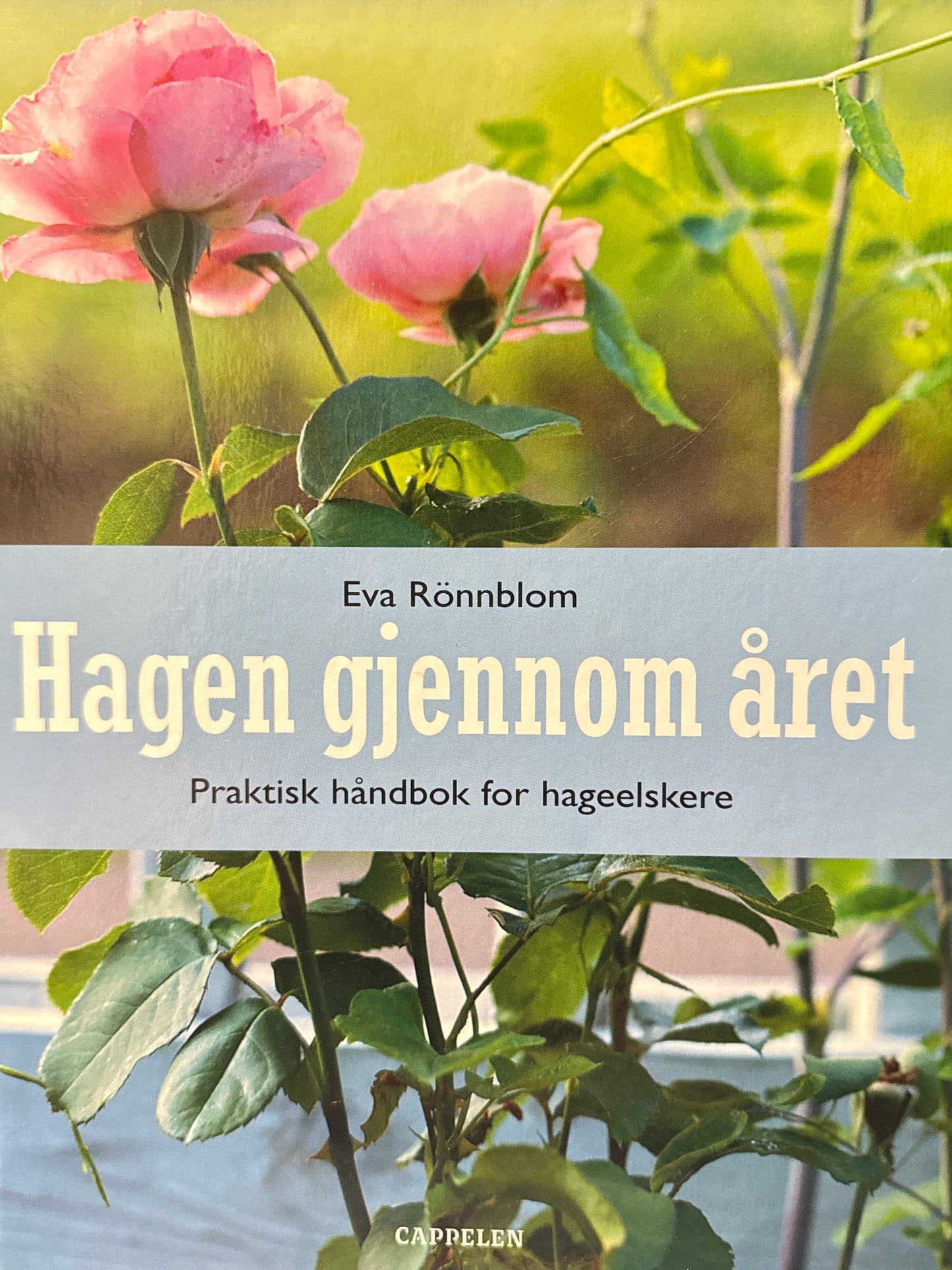 Hagen gjennom året - Innbundet