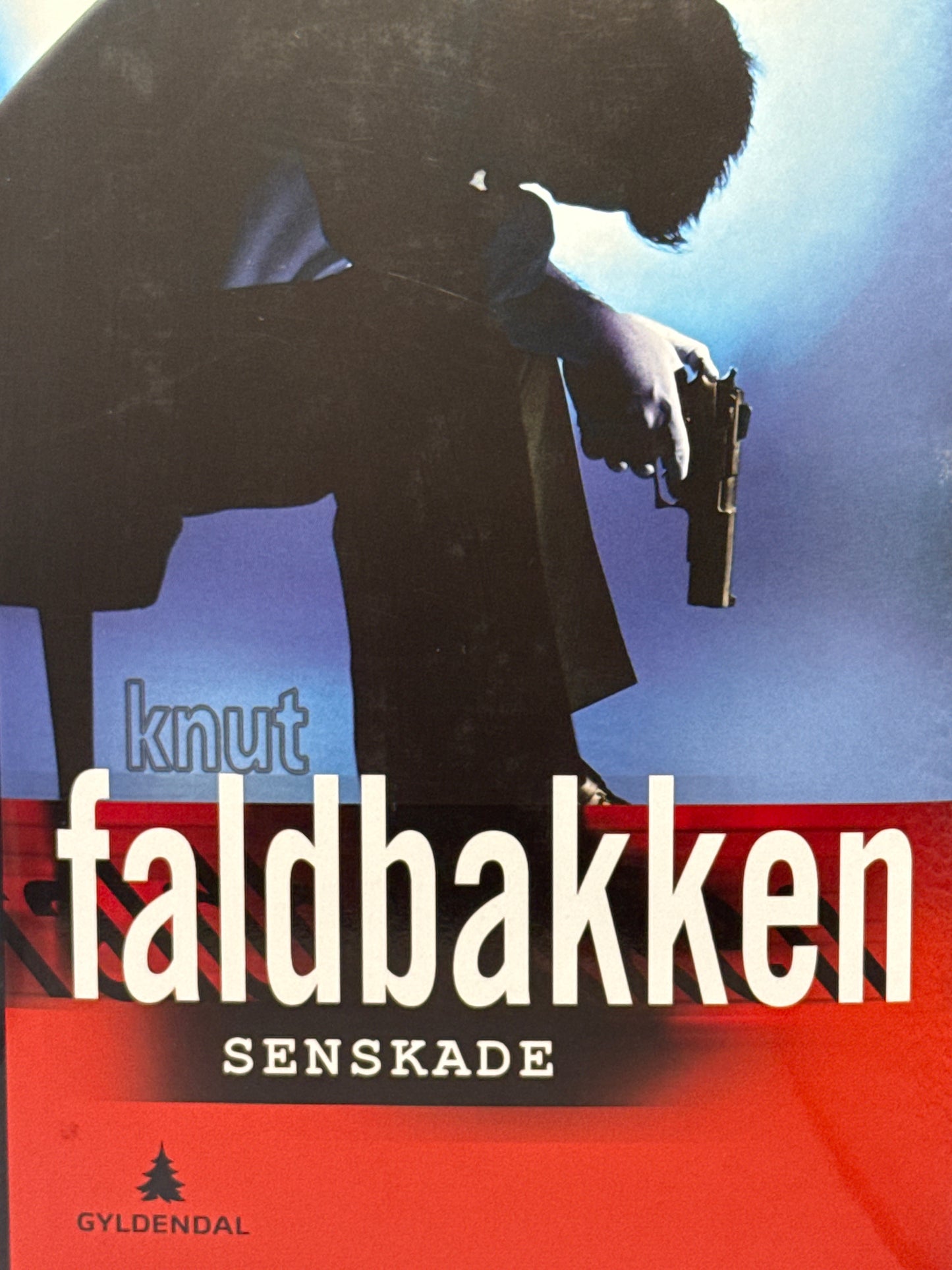 Senskade - Innbundet