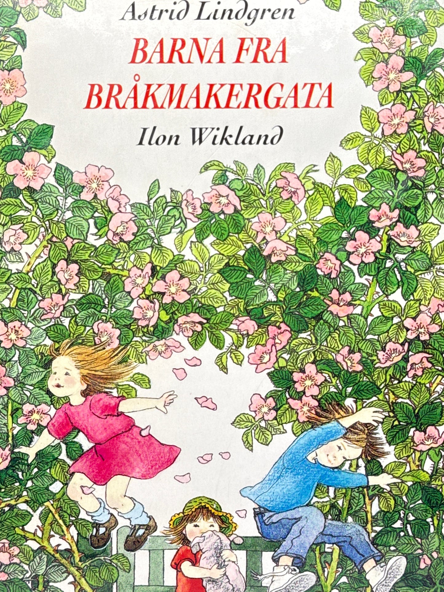 Barna fra bråkmakergata - Innbundet