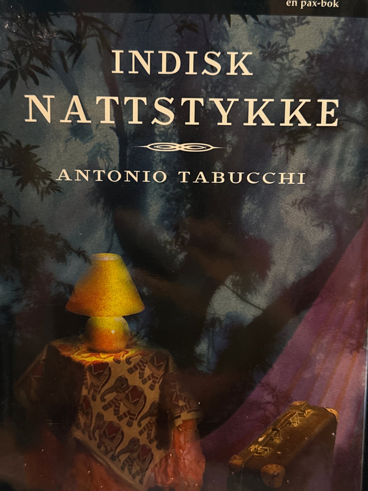 Indisk nattstykke - Innbundet