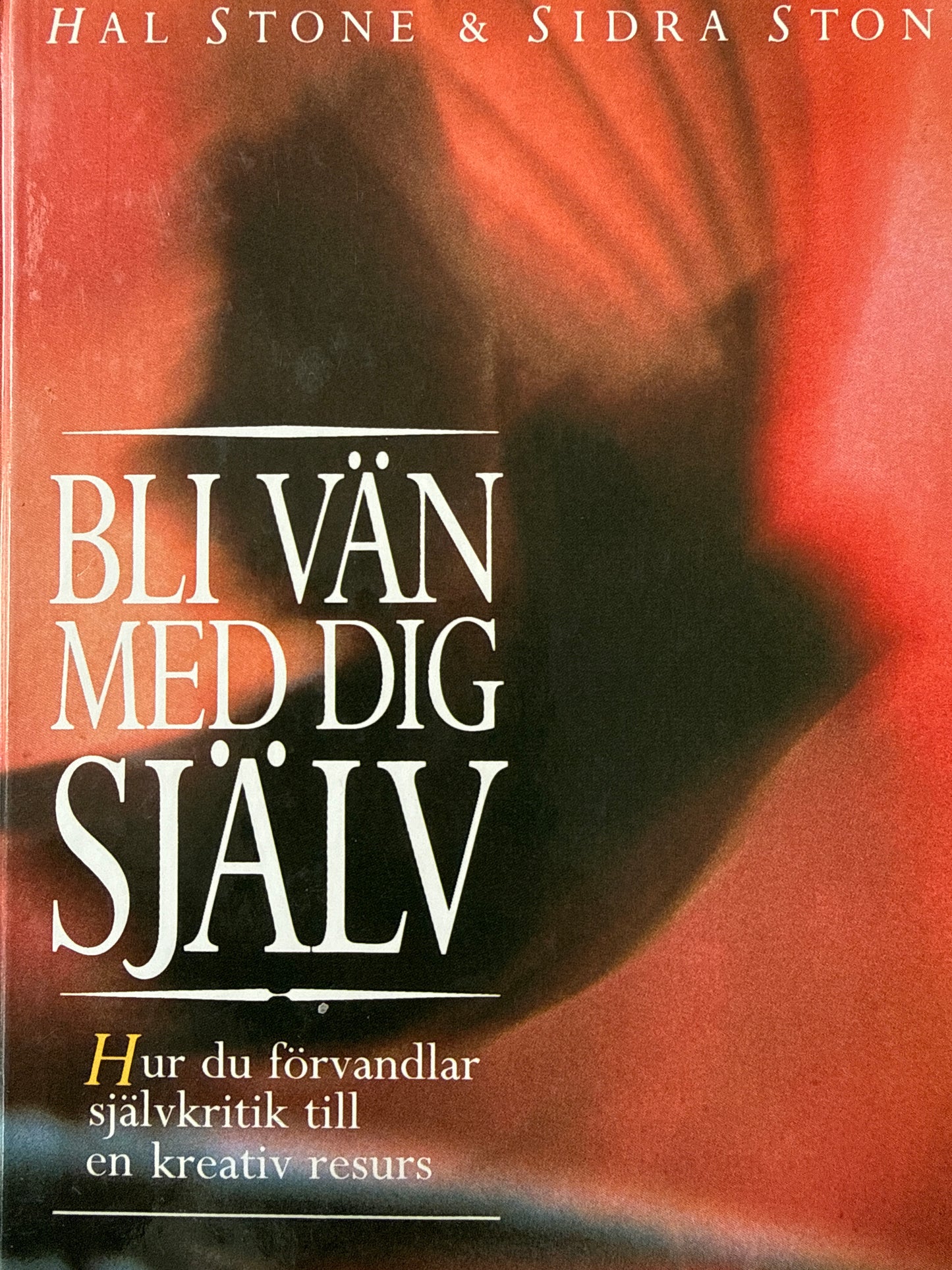 Bli vän med dig själv - Innbundet