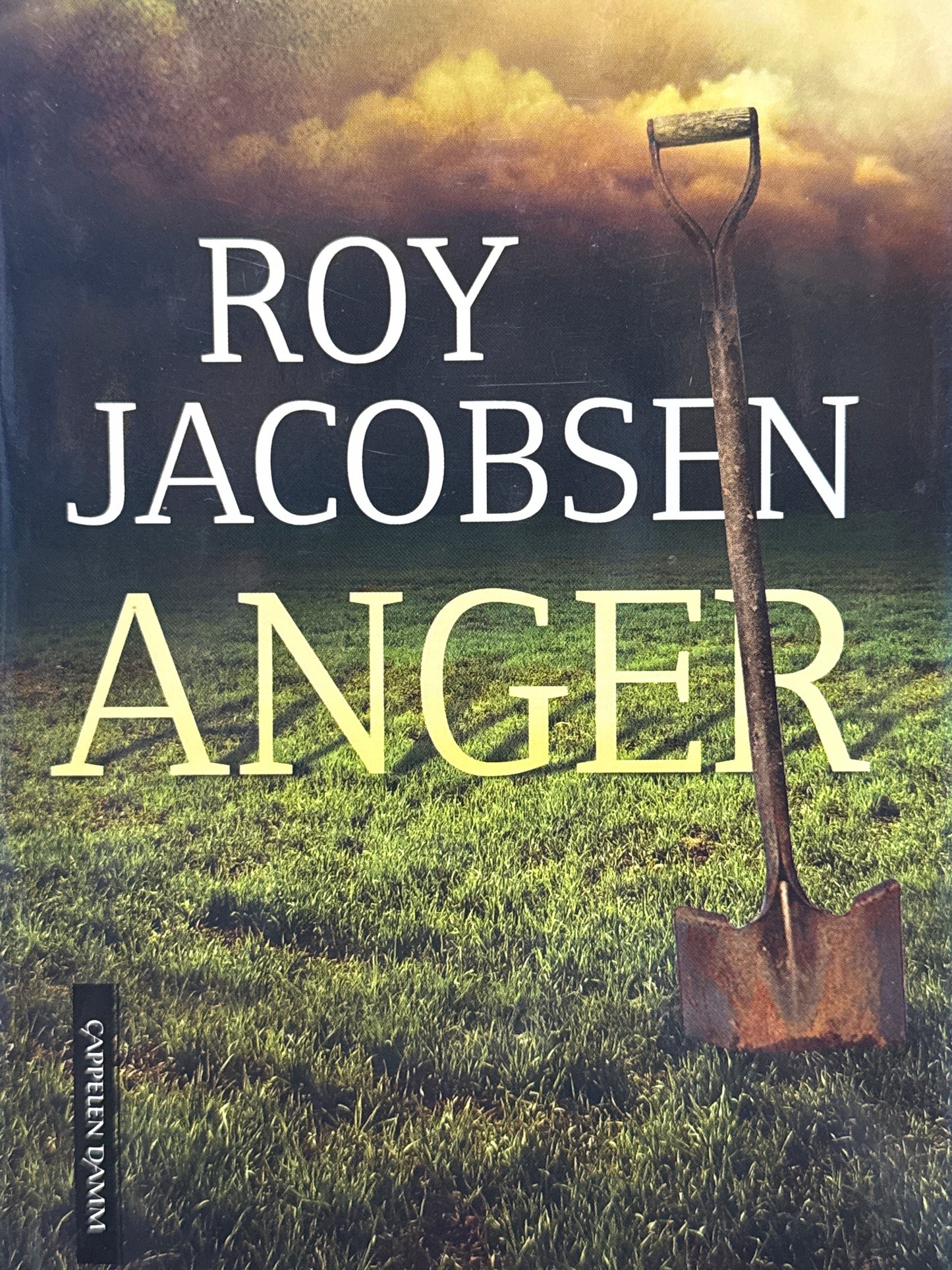 Anger - Innbundet
