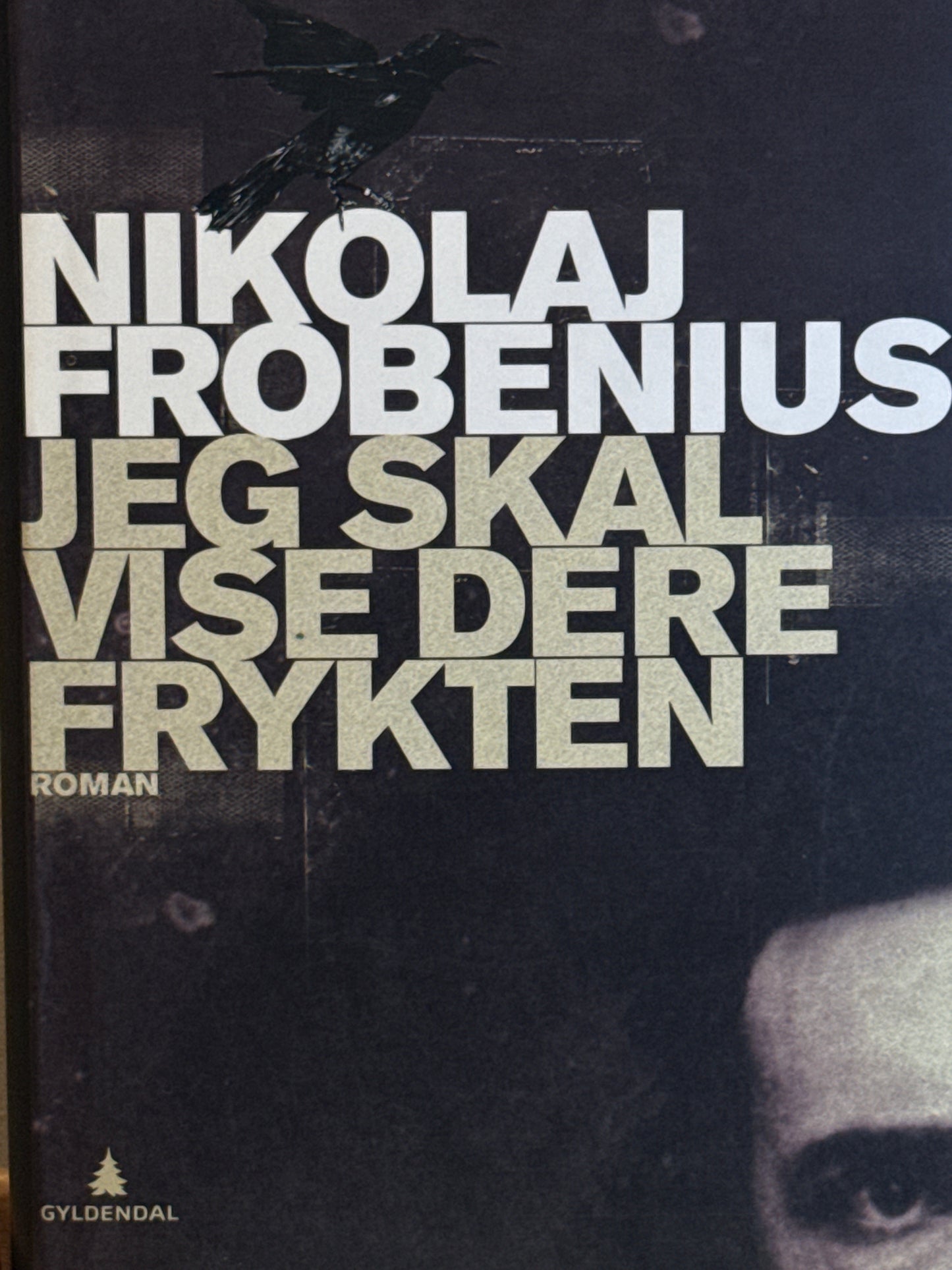 Jeg skal vise dere frykten - Innbundet