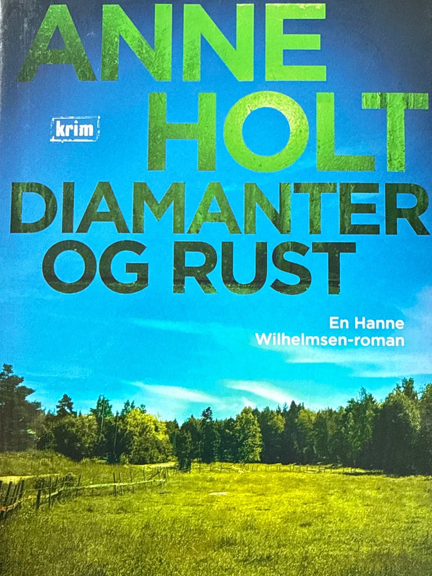 Diamanter og rust - en Hanne Wilhelmsen - Innbundet