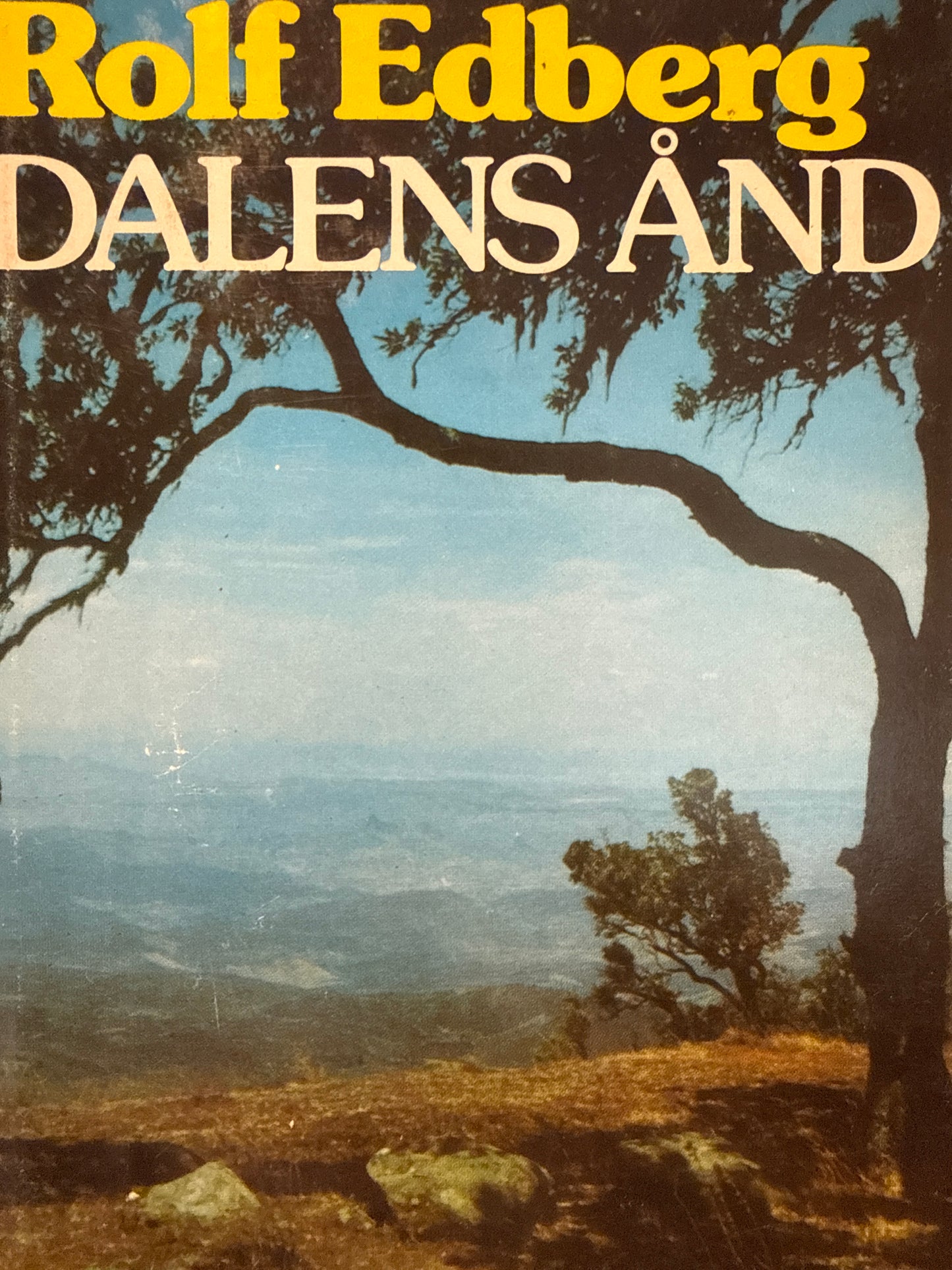 Dalens ånd - Innbundet