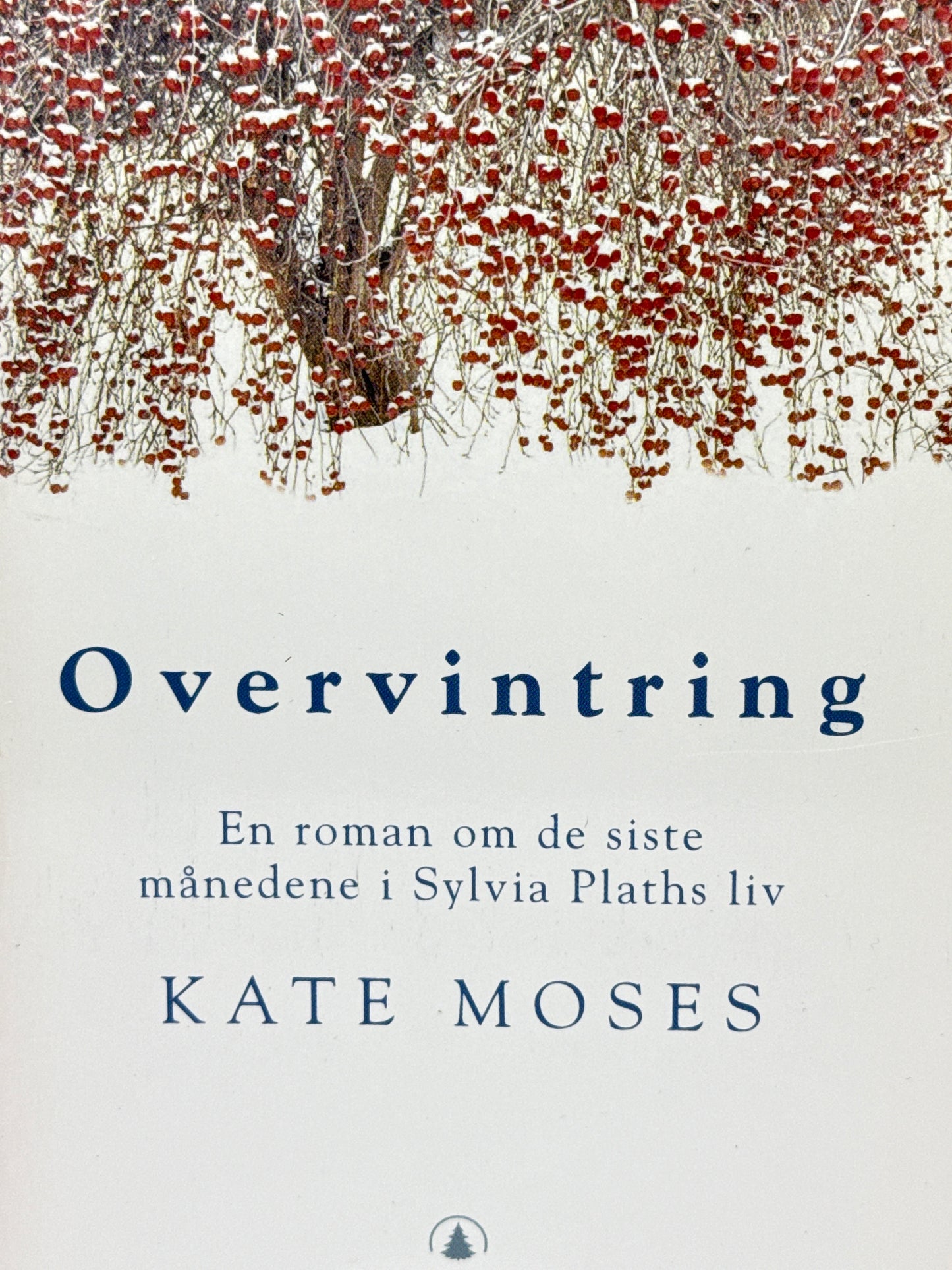 Overvintring - Pocket