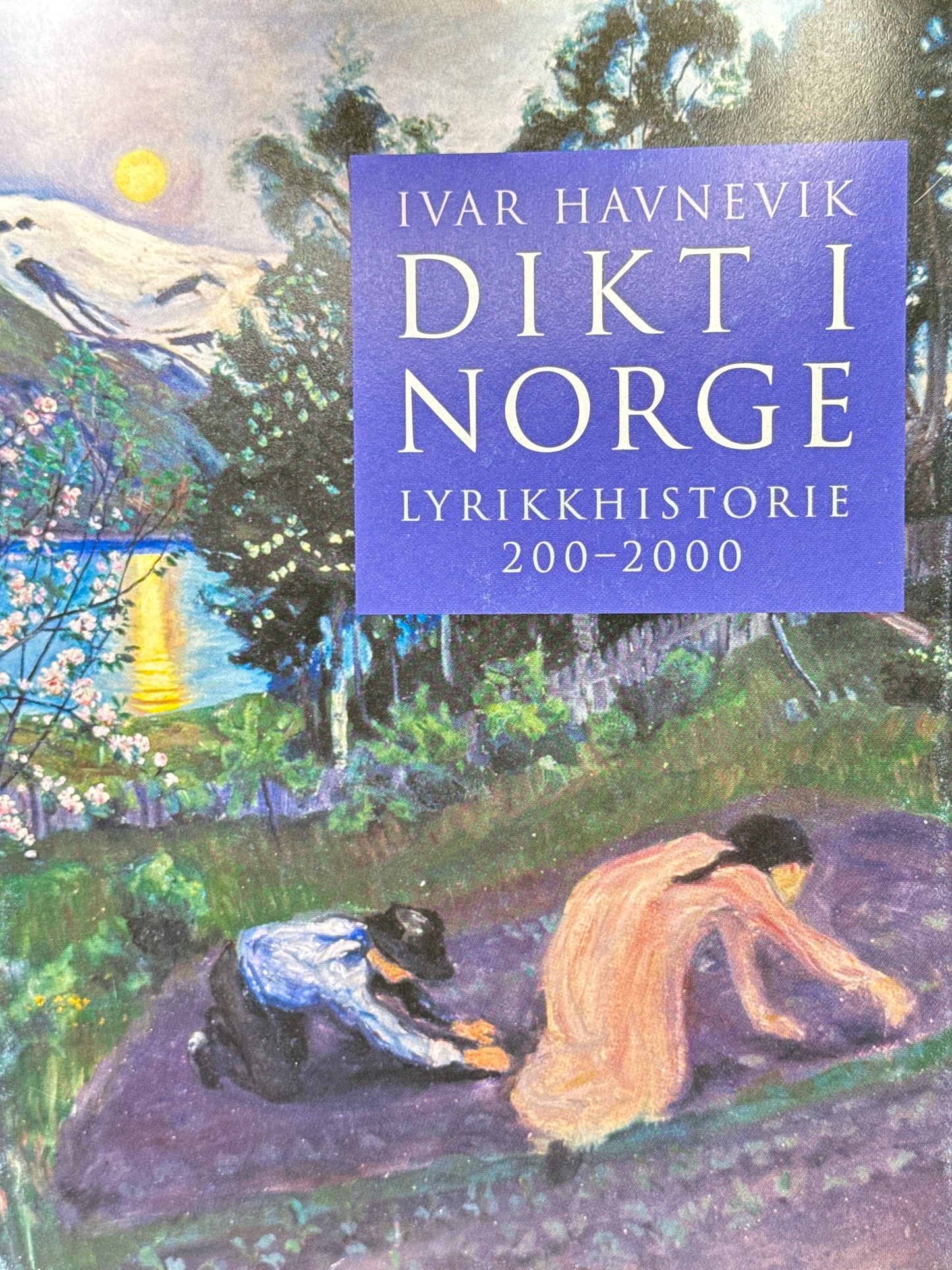 Dikt i Norge - Innbundet