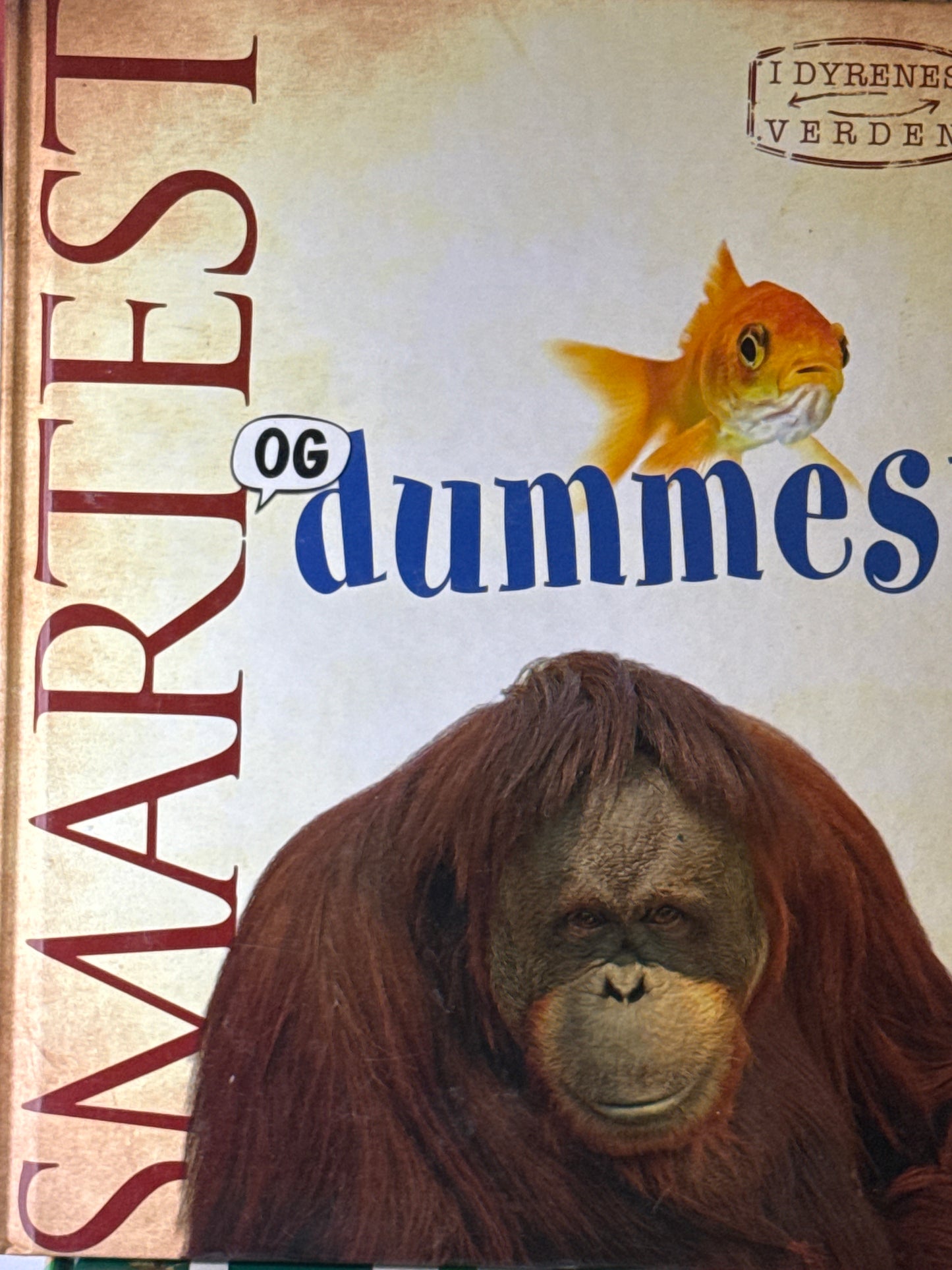 Smartest og dummest - Innbundet