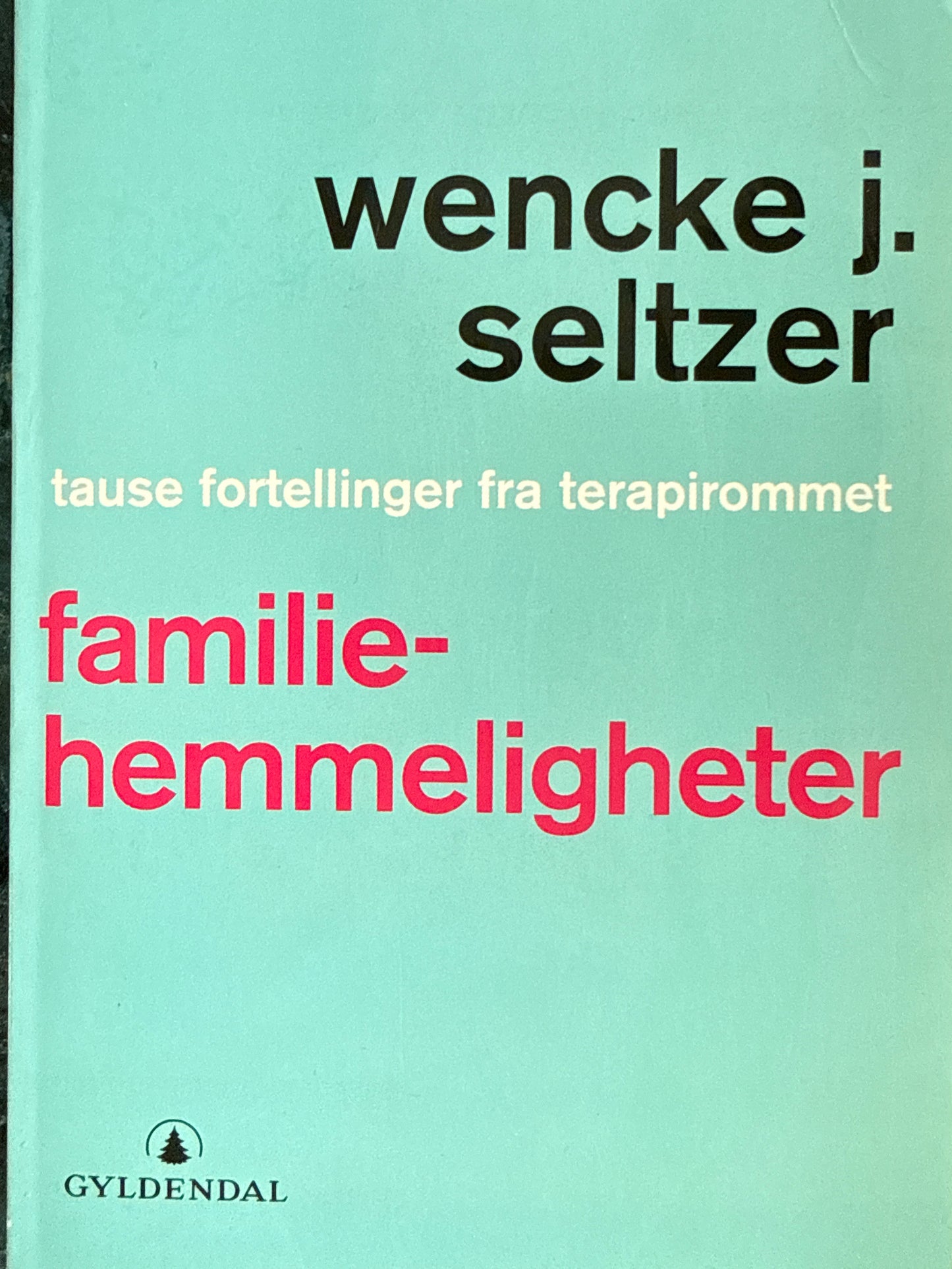 Familiehemmeligheter ; tause fortellinger fra terapirommet - Pocket