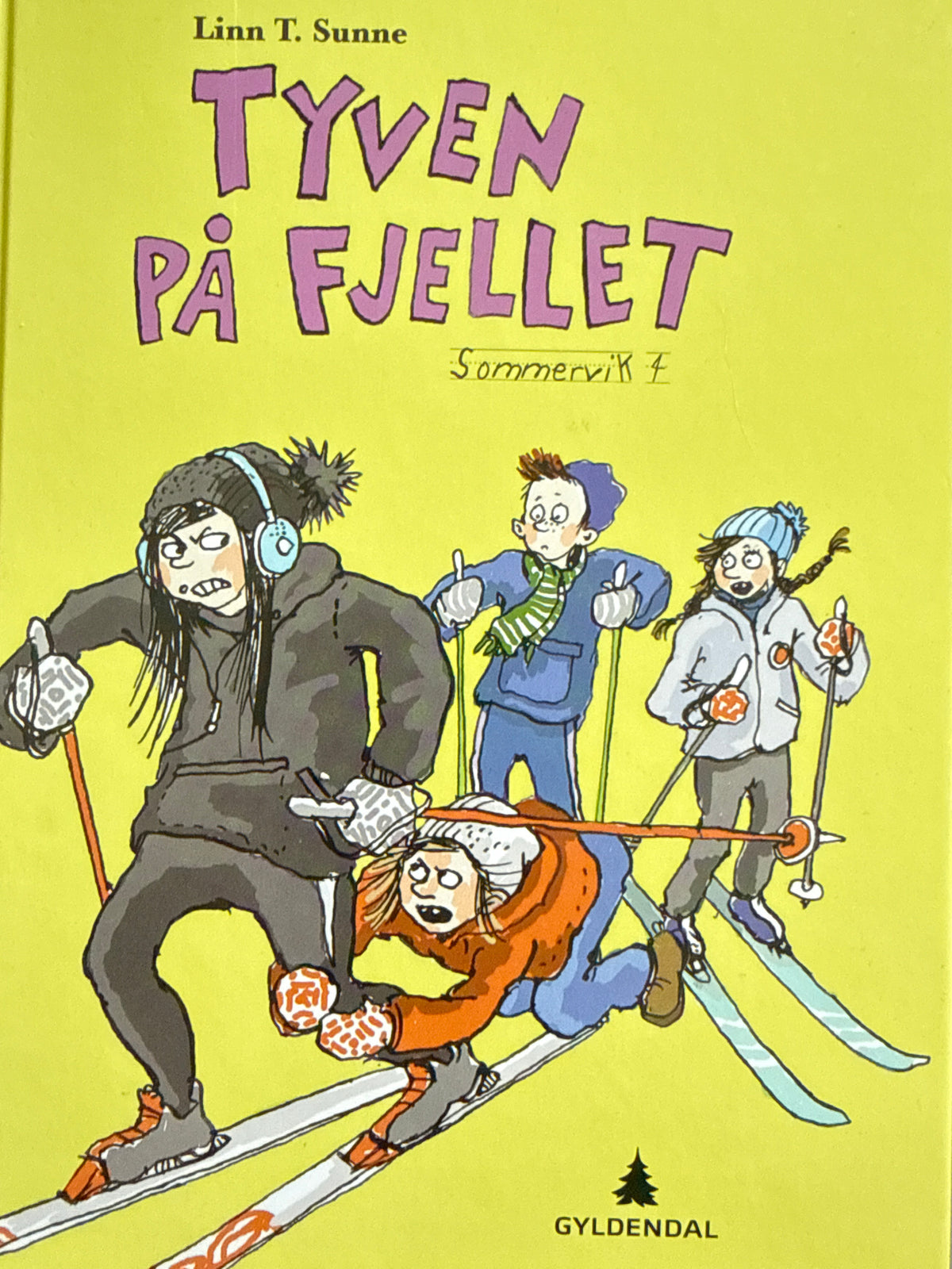 Tyven på fjellet - Innbundet