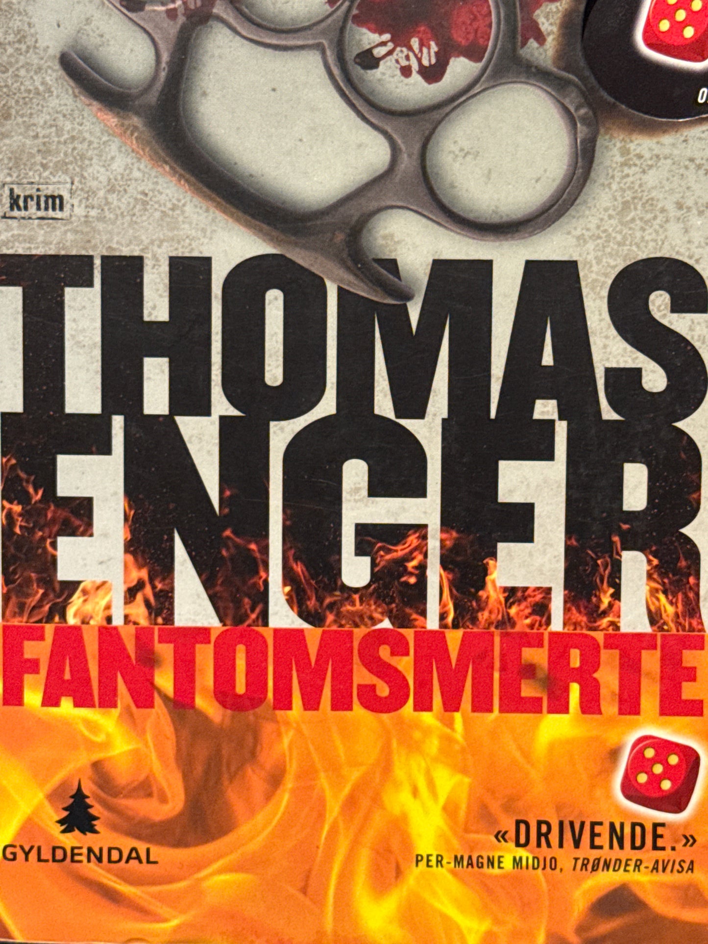 Fantomsmerte - Pocket