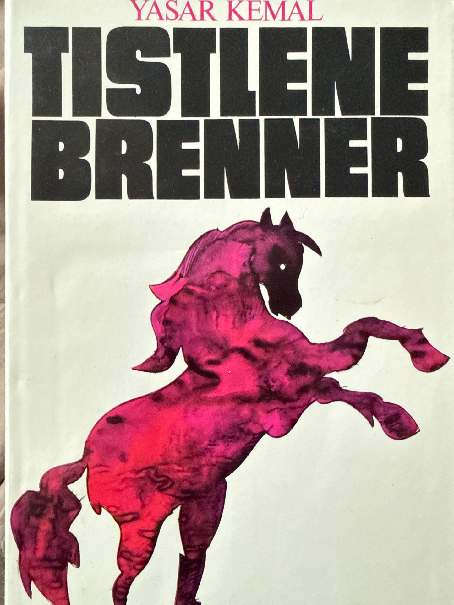 Tistlene brenner - Innbundet