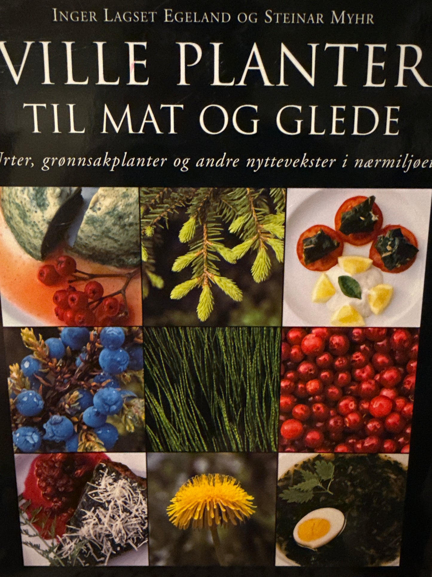 Ville planter til mat og glede - Innbundet