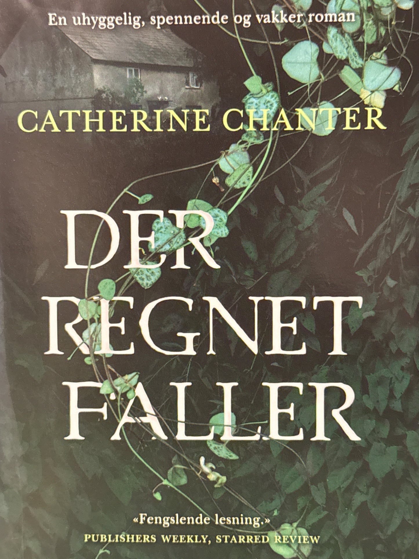 Der regnet faller - Innbundet
