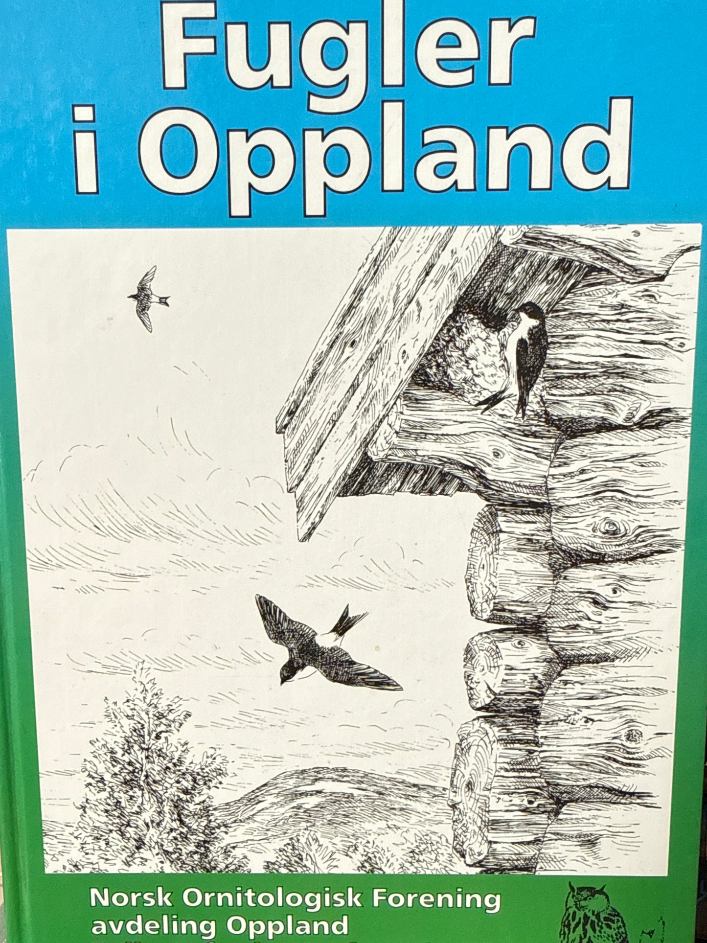 Fugler i Oppland - Innbundet