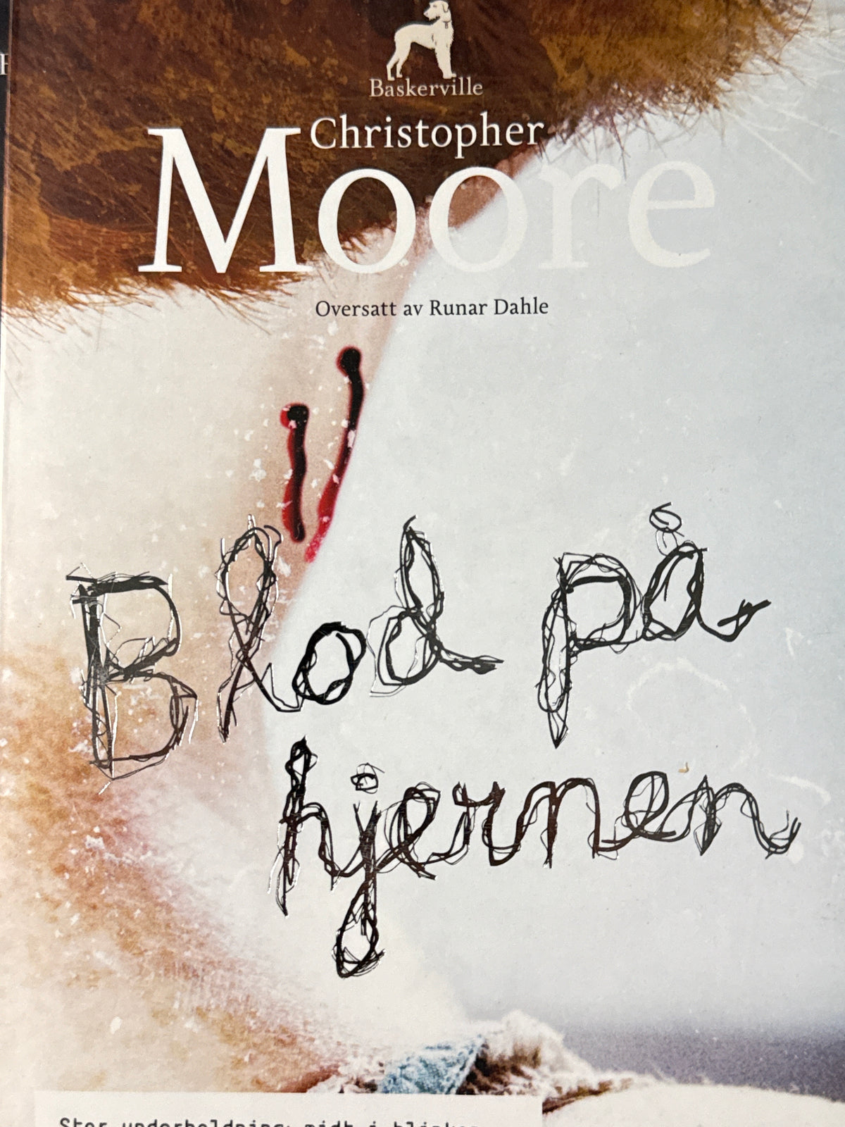 Blod på hjernen - Pocket