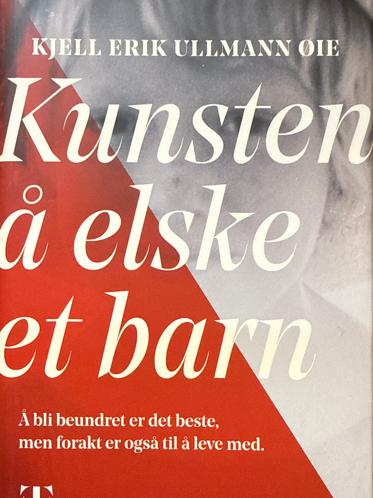Kunsten å elske et barn - Innbundet
