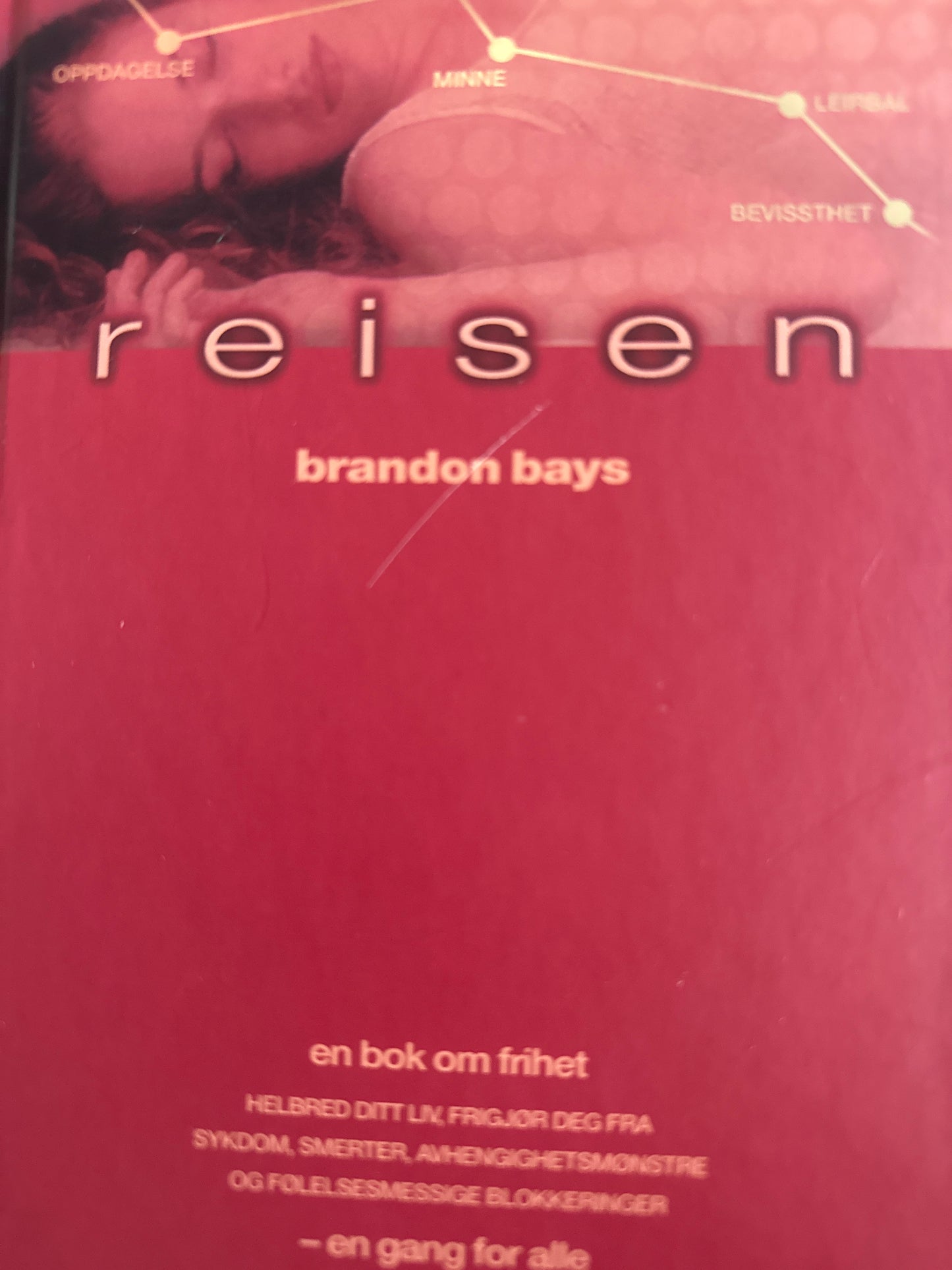 Reisen - Innbundet