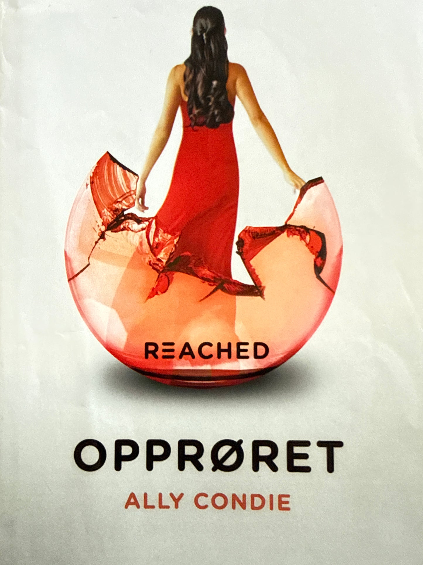 Opprøret - Innbundet