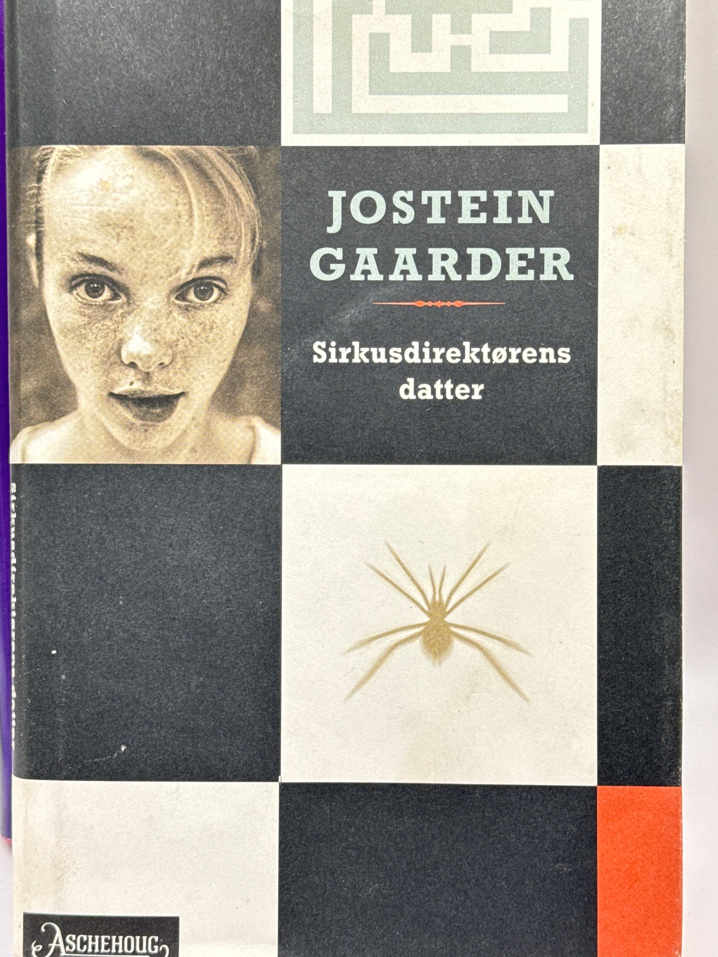 Sirkusdirektørens datter - Innbundet