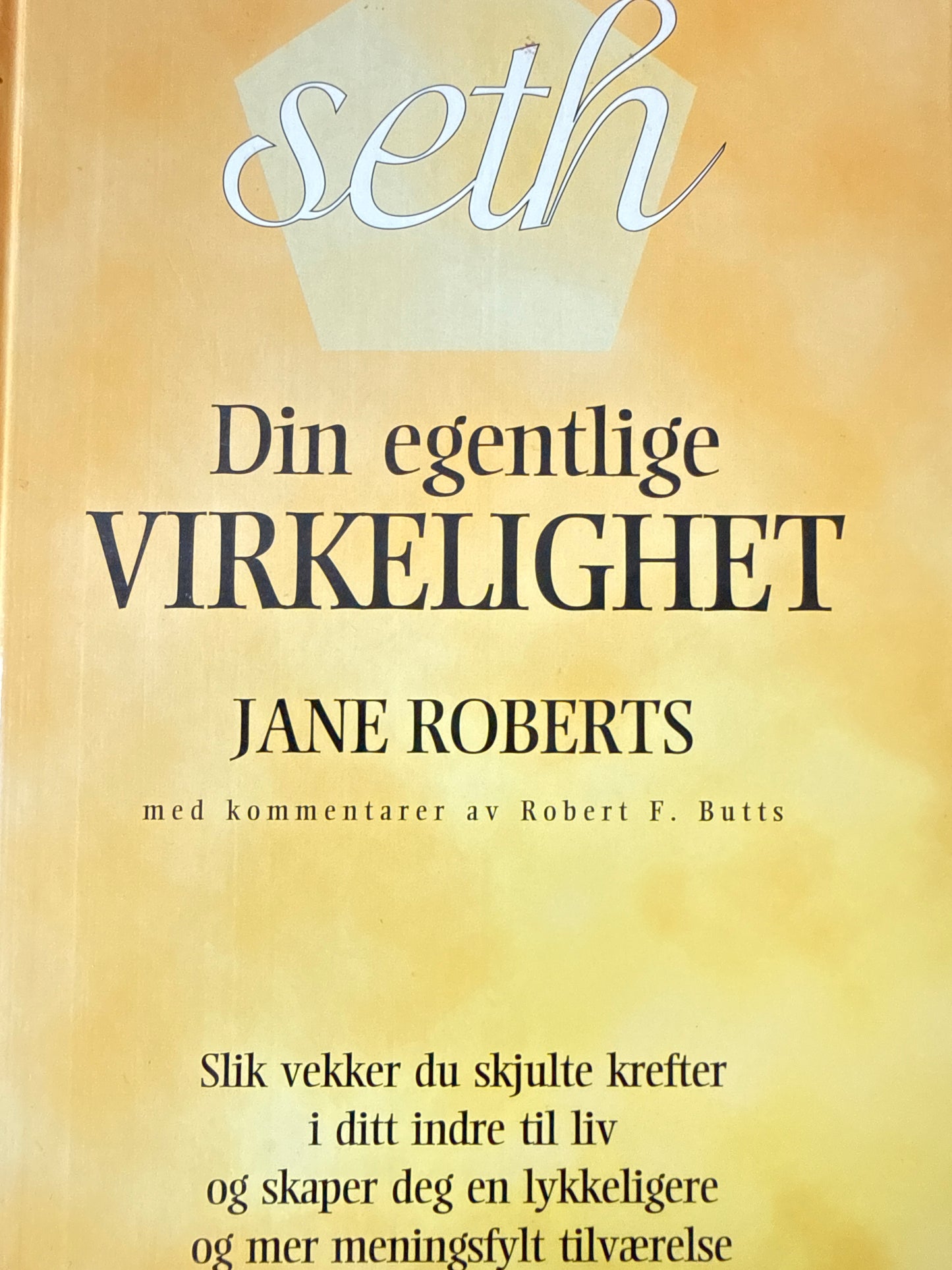 Din egentlige virkelighet - Innbundet
