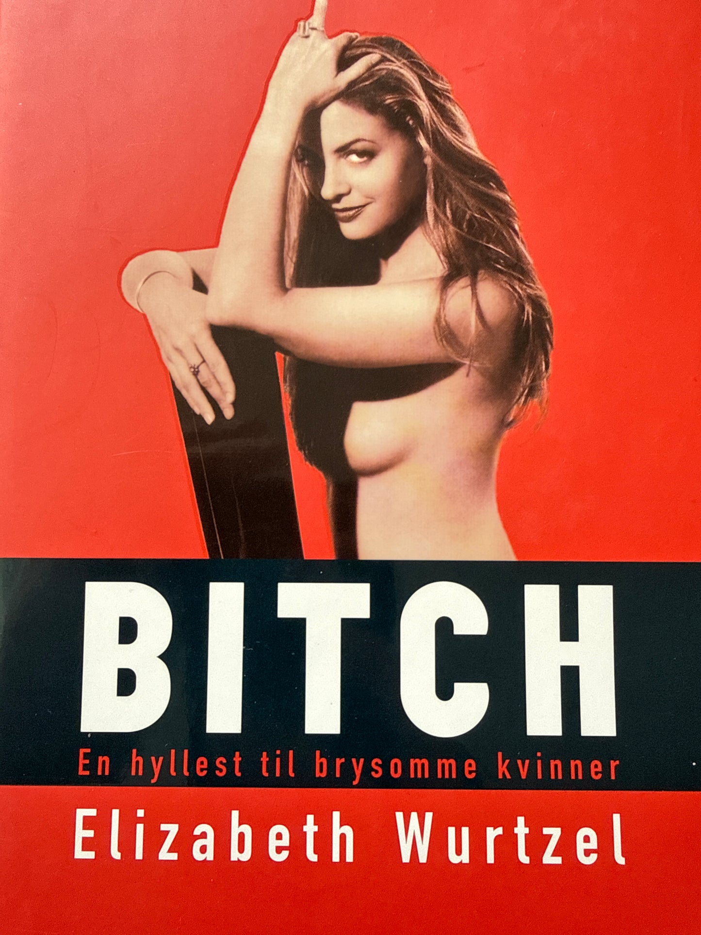 Bitch - Innbundet