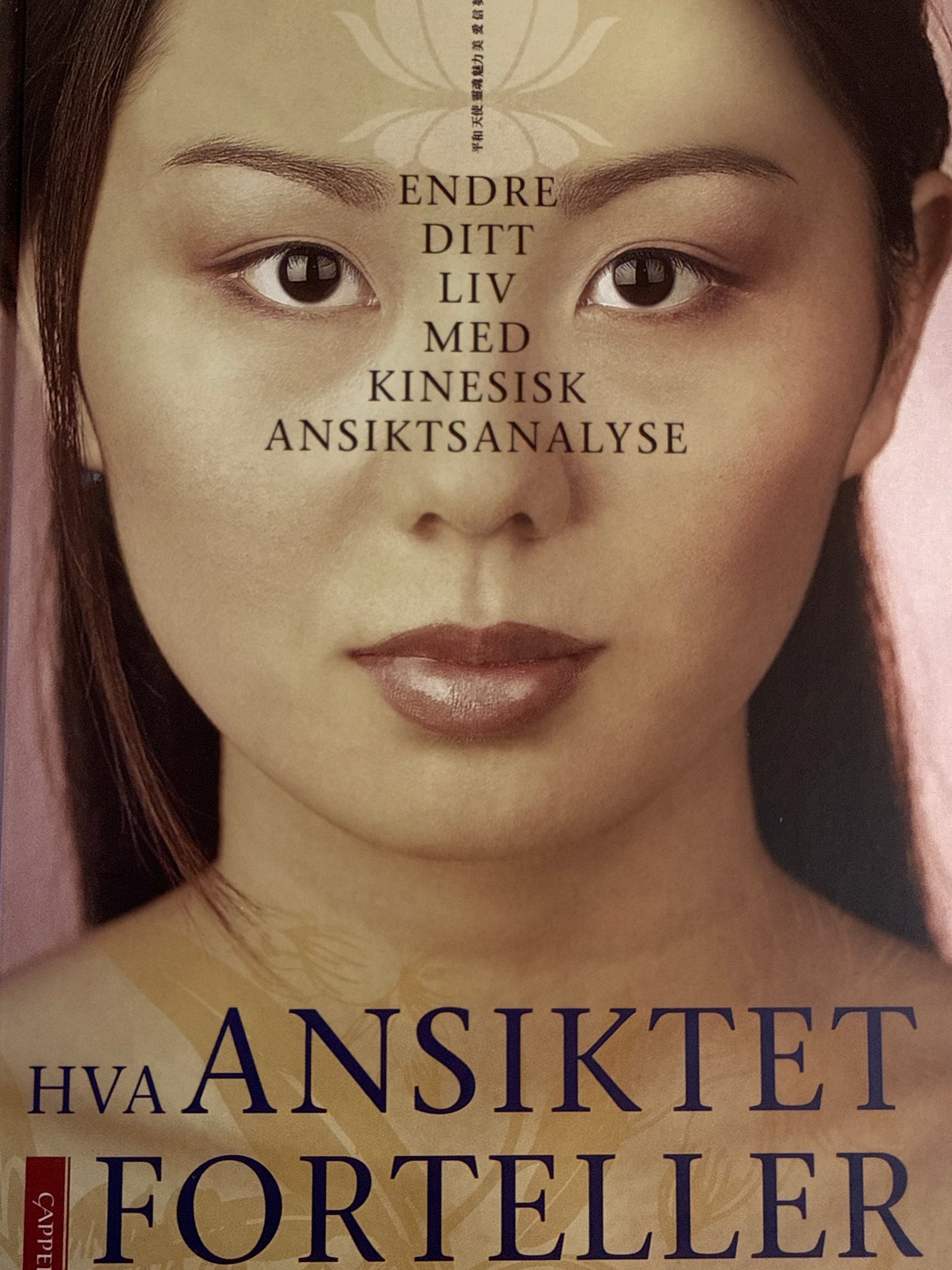 Hva ansiktet forteller - Innbundet