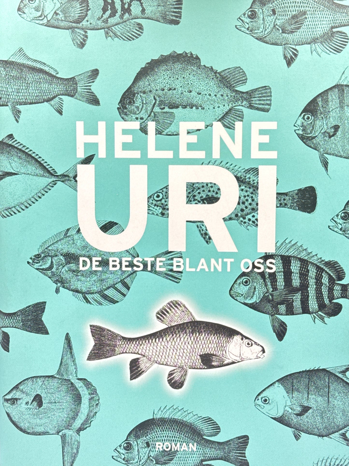 De beste blant oss - Innbundet