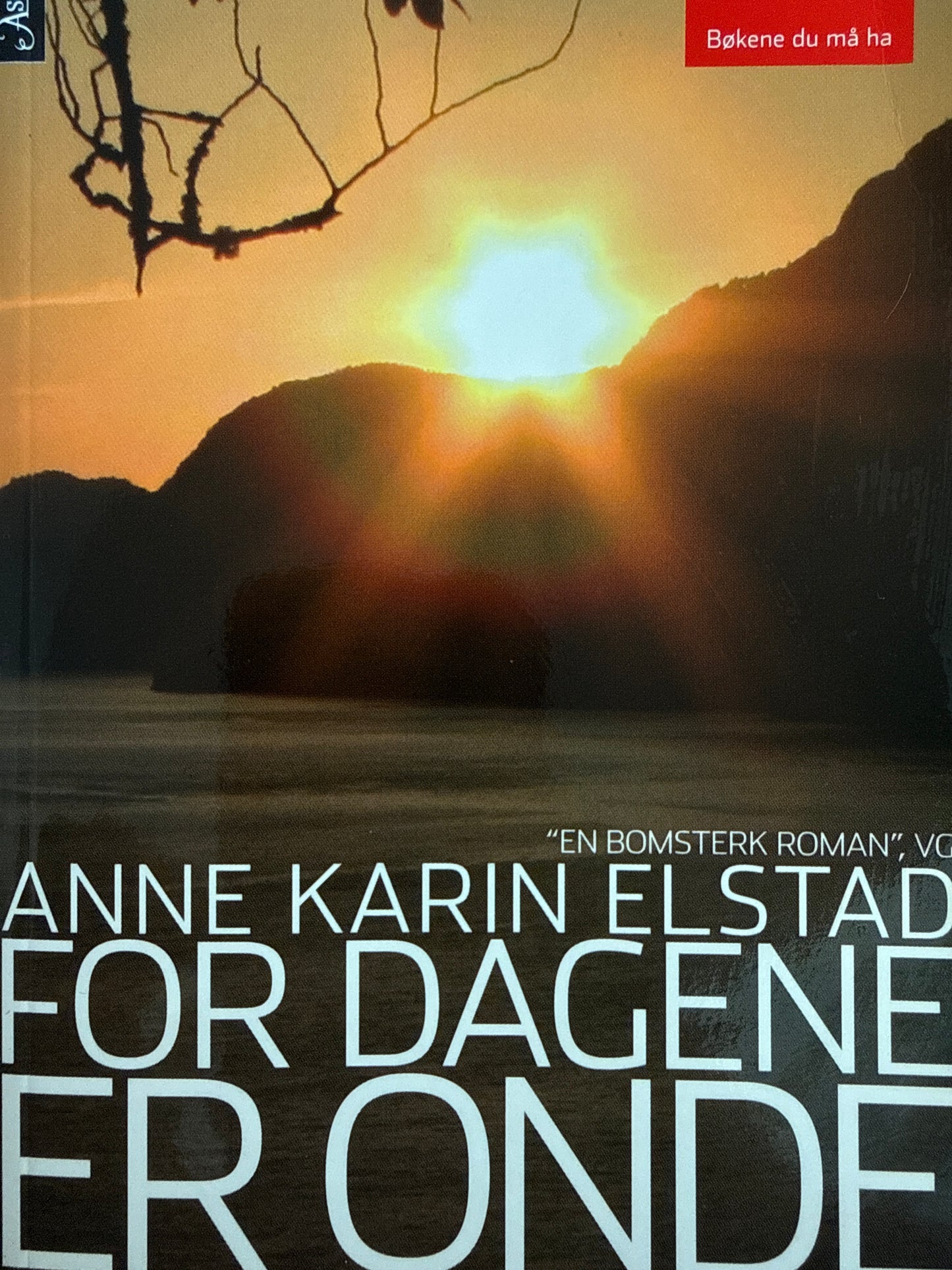 For dagene er onde - Pocket