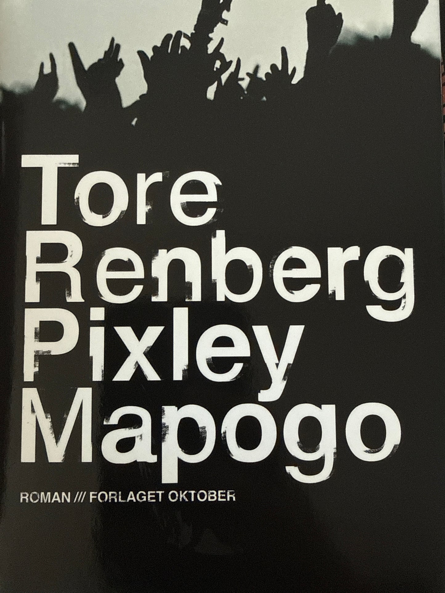 Pixley Mapogo - Innbundet