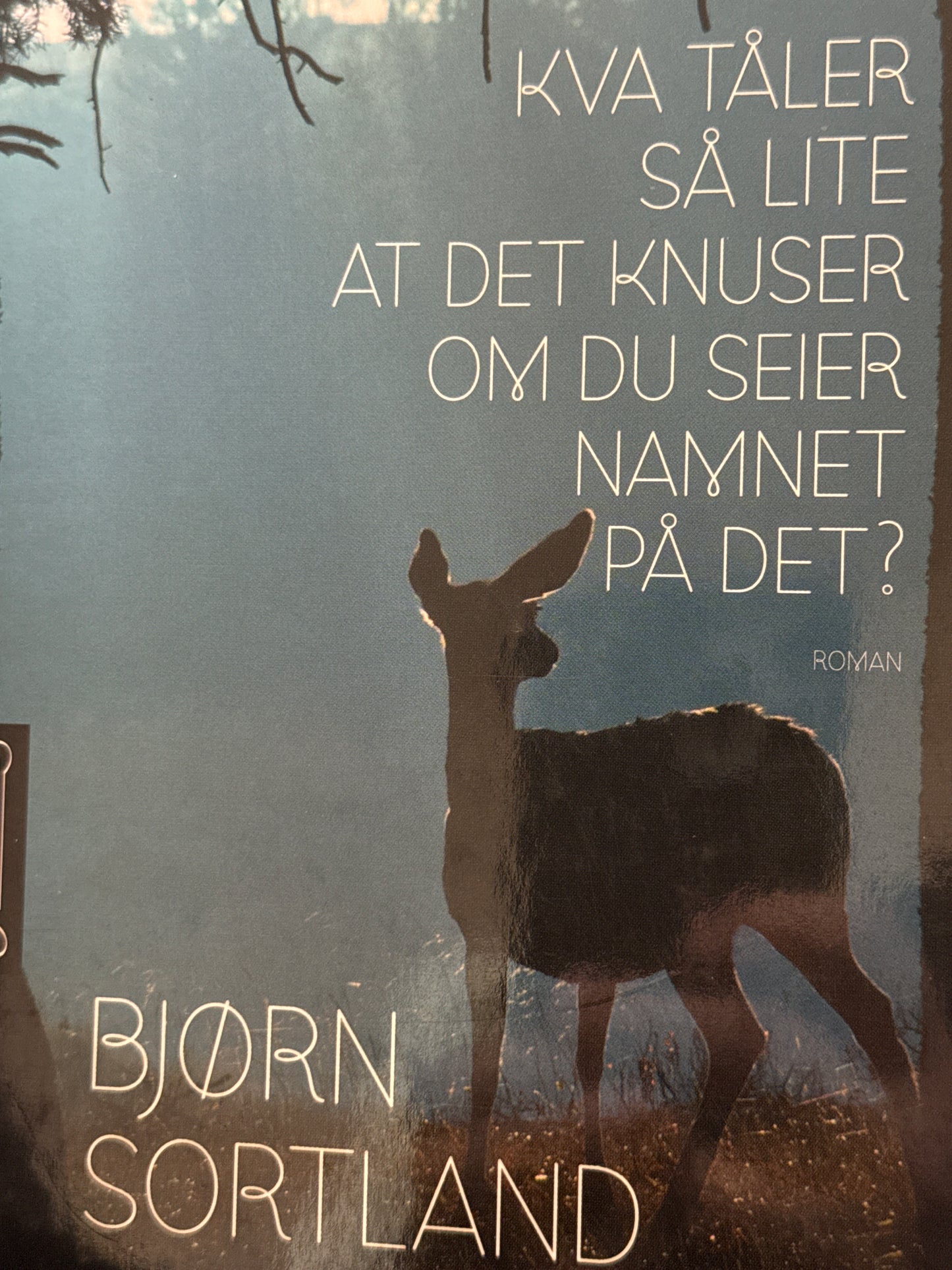 Kva tåler så lite at det knuser om du seier namnet på det? - Innbundet