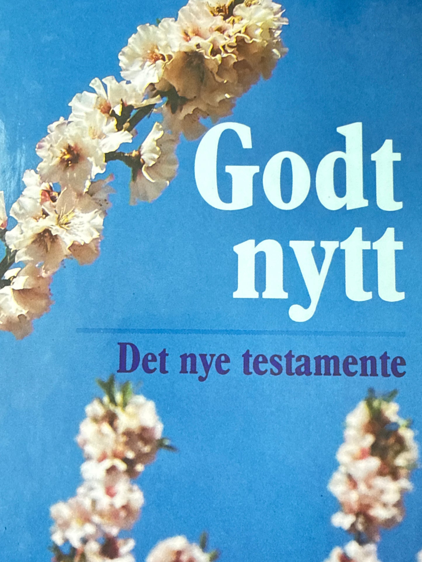 Godt Nytt Det Nye Testamente - Innbundet