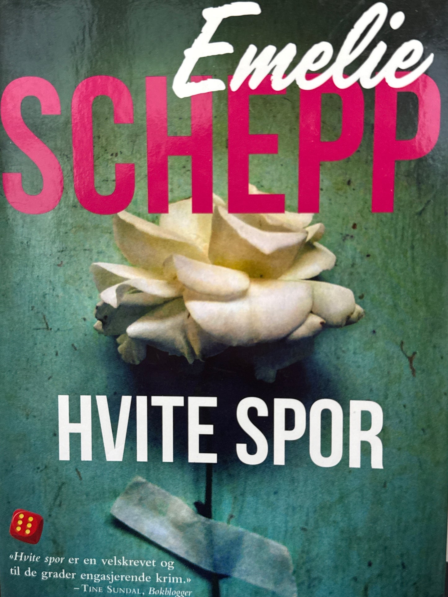 Hvite spor - Innbundet