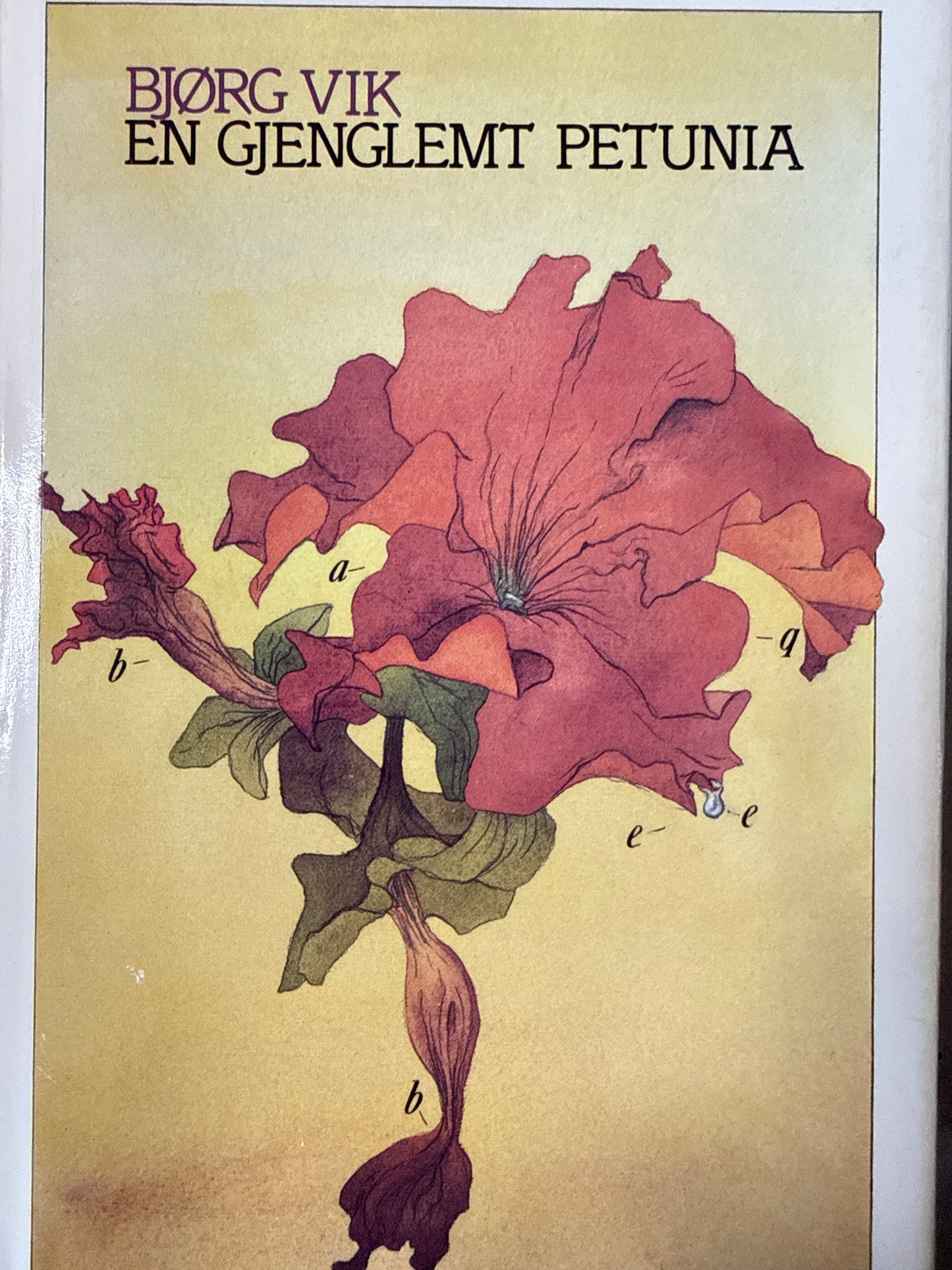 En gjenglemt petunia - Innbundet