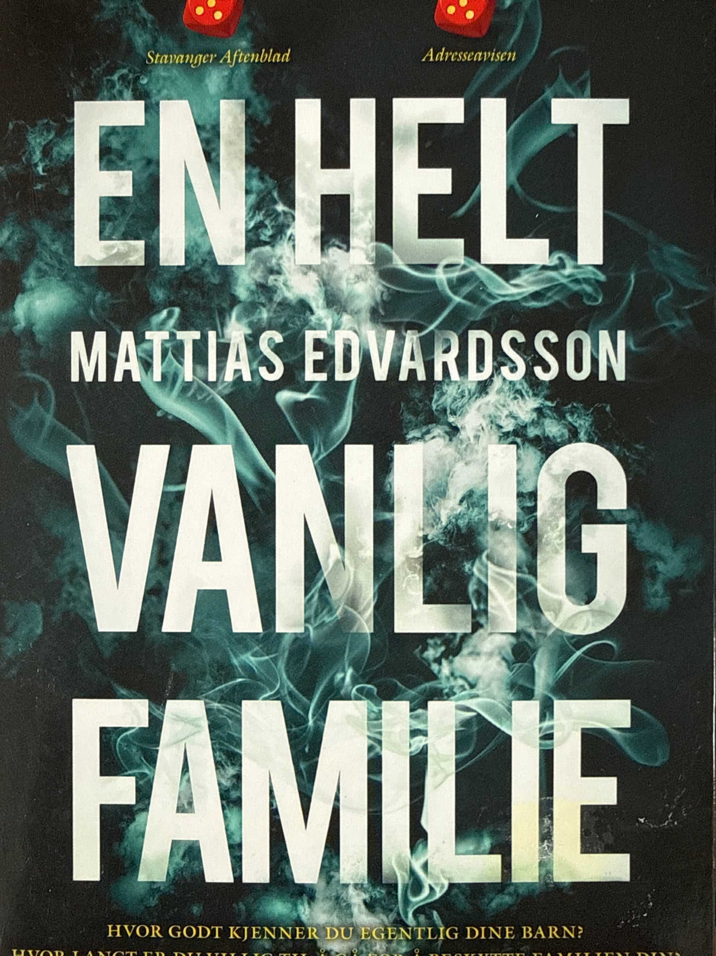 En helt vanlig familie - Pocket