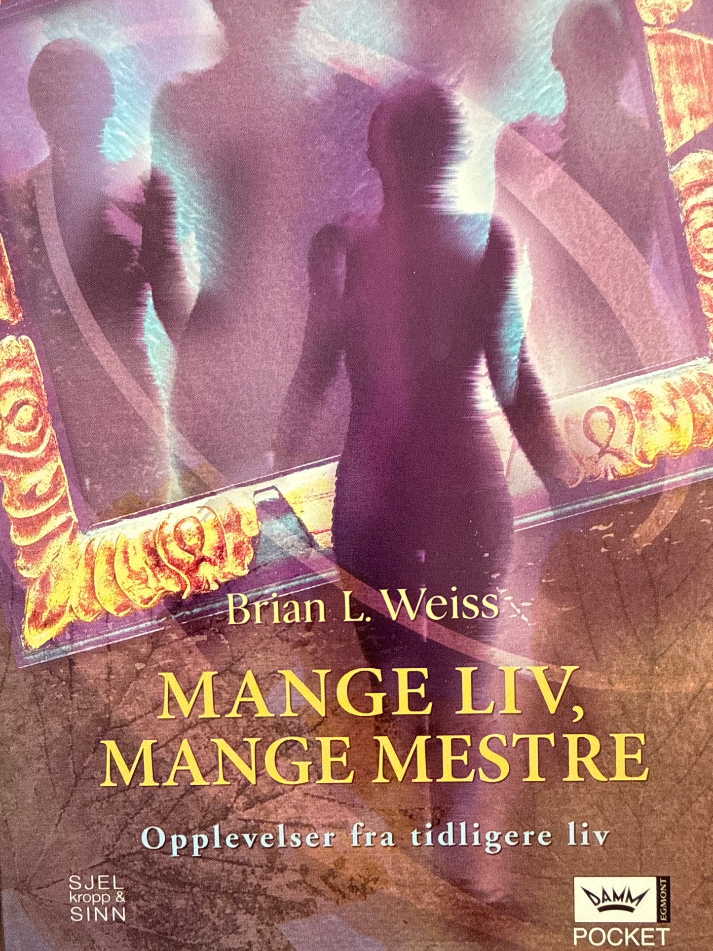 Mange liv, mange mestre - Pocket