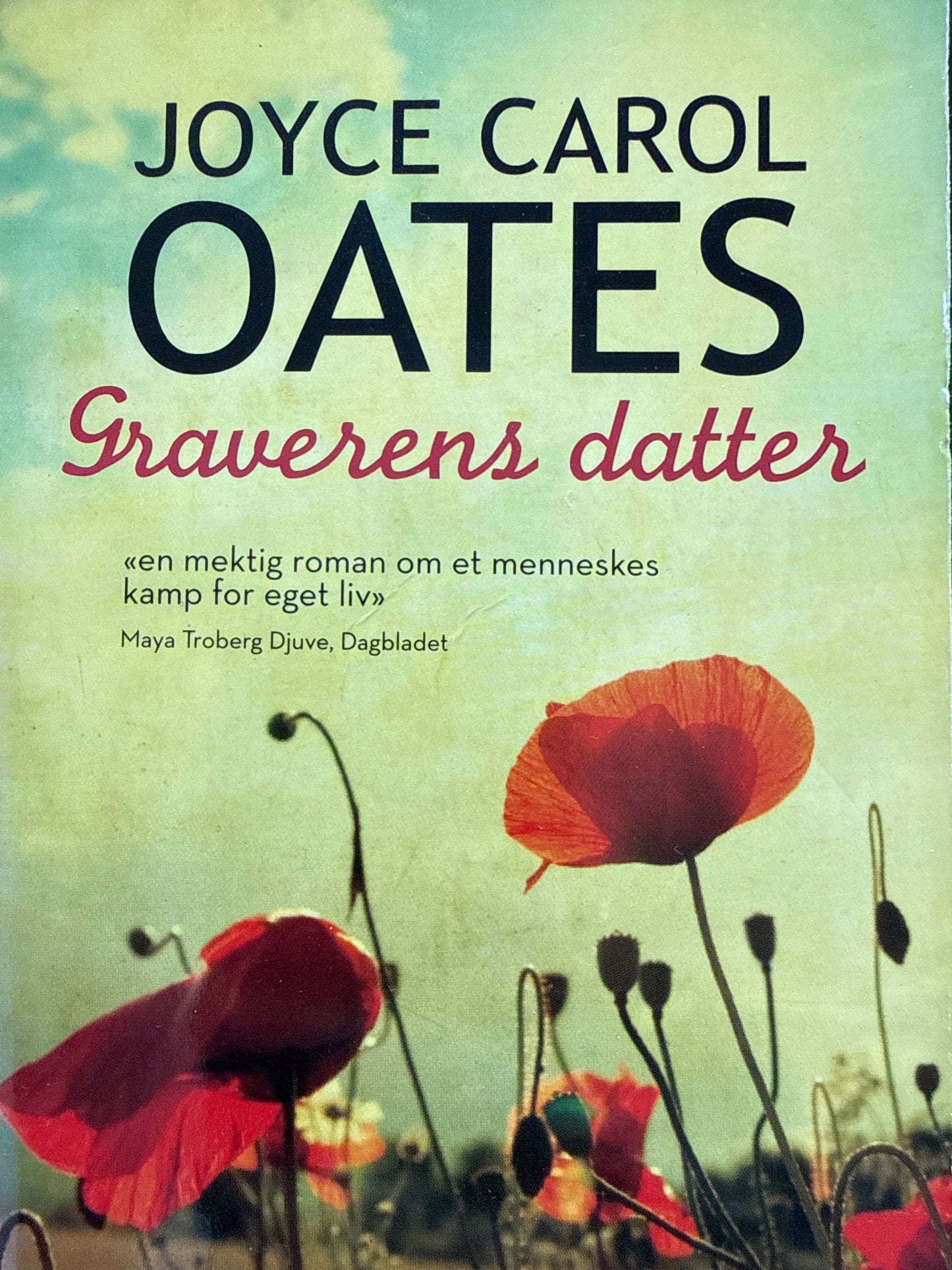 Graverens datter - Pocket