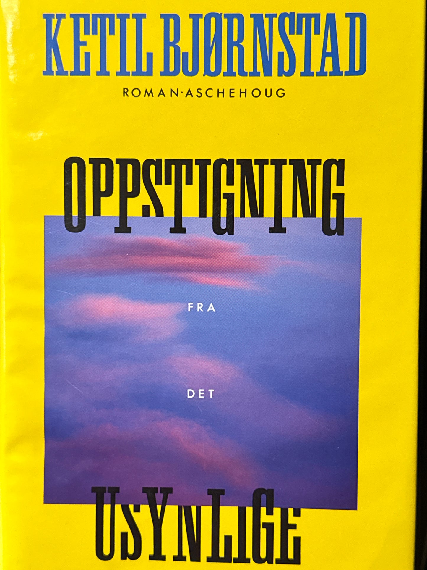Oppstigning fra det usynlige - Innbundet