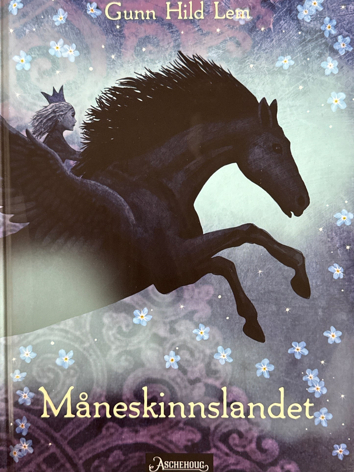 Måneskinnslandet - Innbundet