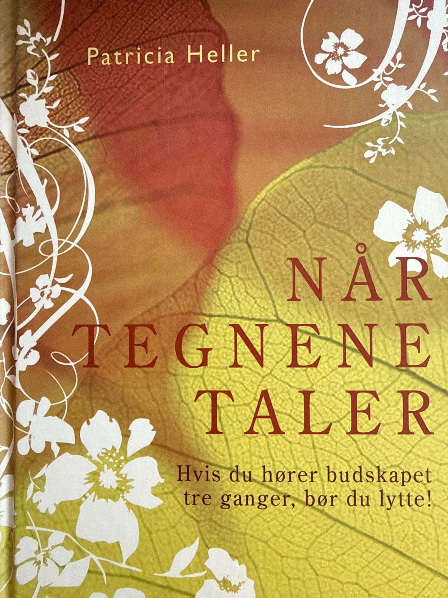 Når tegnene taler - Innbundet