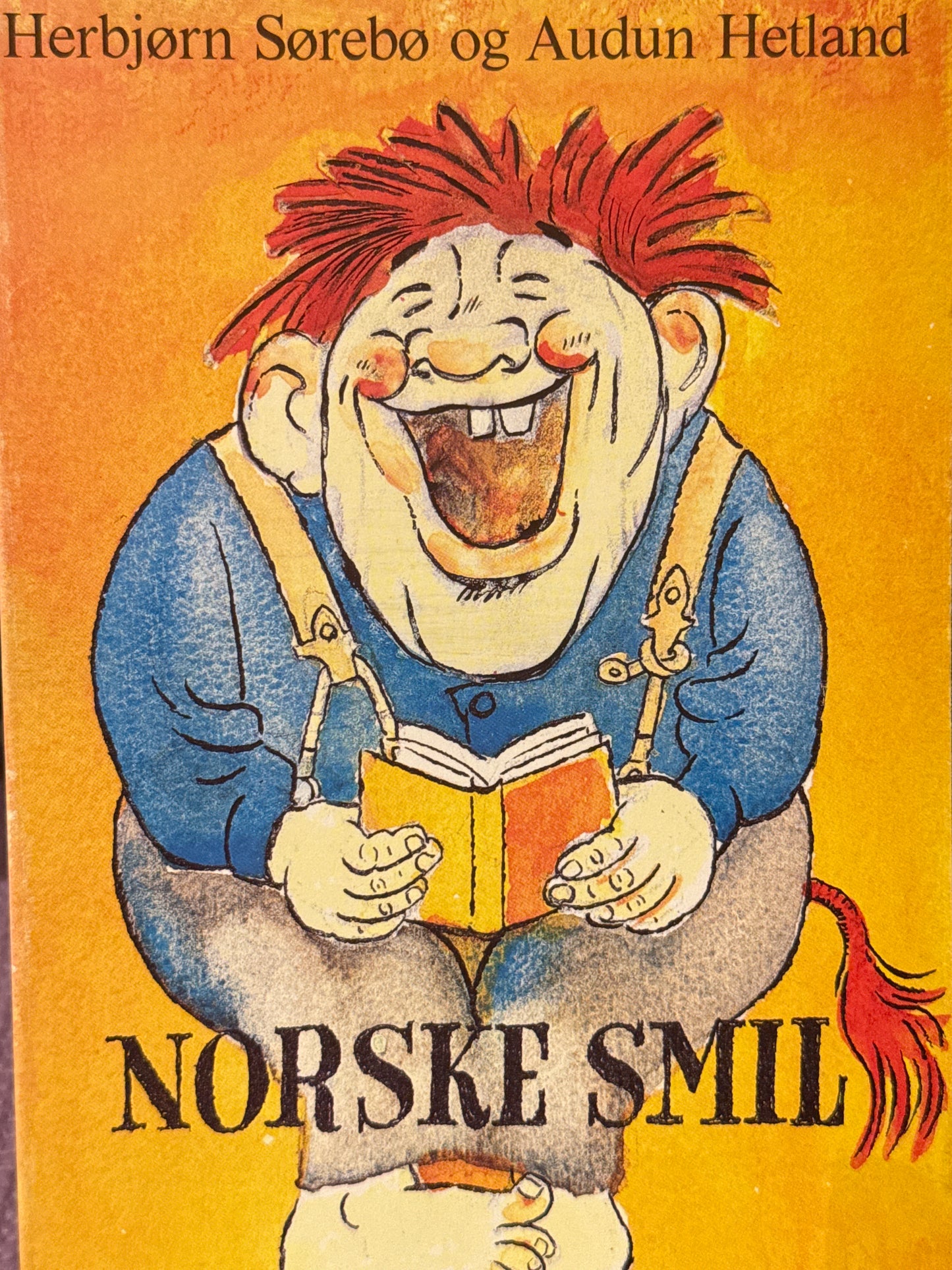 Norske smil - Pocket